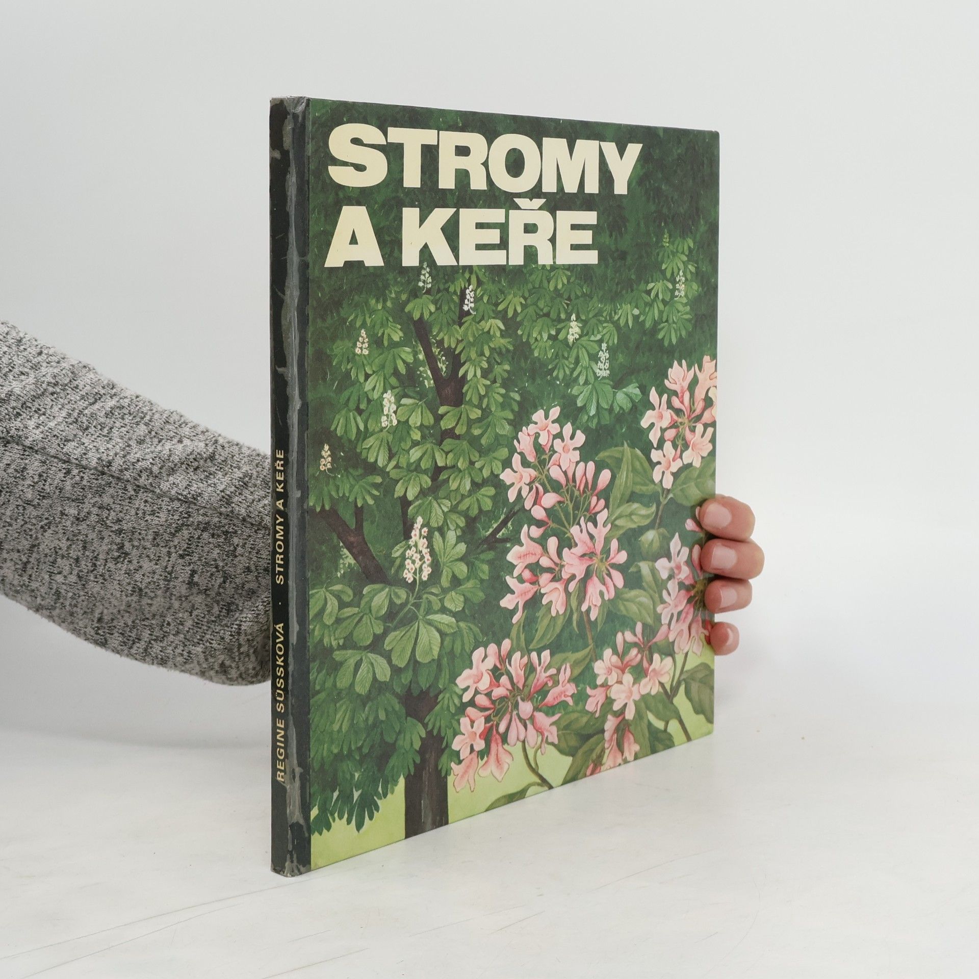 Regine Süssk Stromy a keře