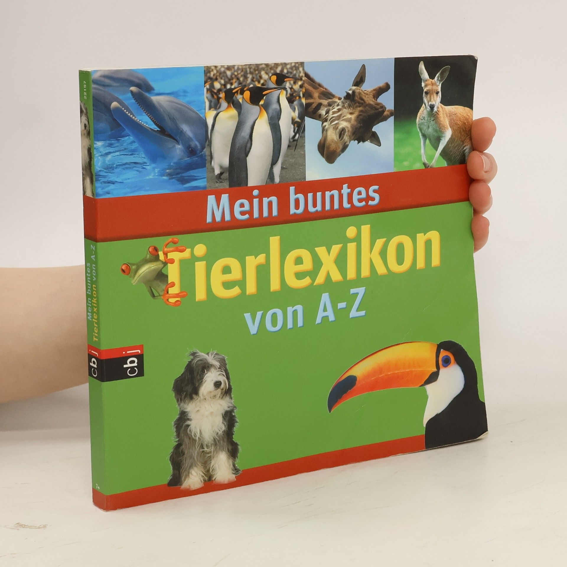 Antje Kleinelümern-Depping Mein buntes Tierlexikon von A - Z