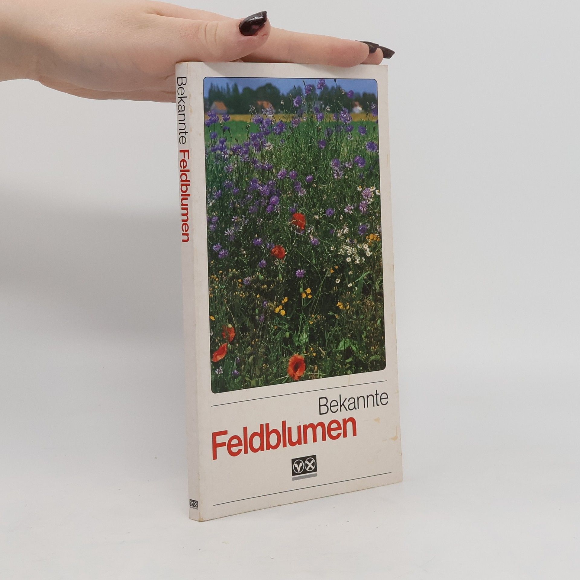 Bekannte Feldblumen