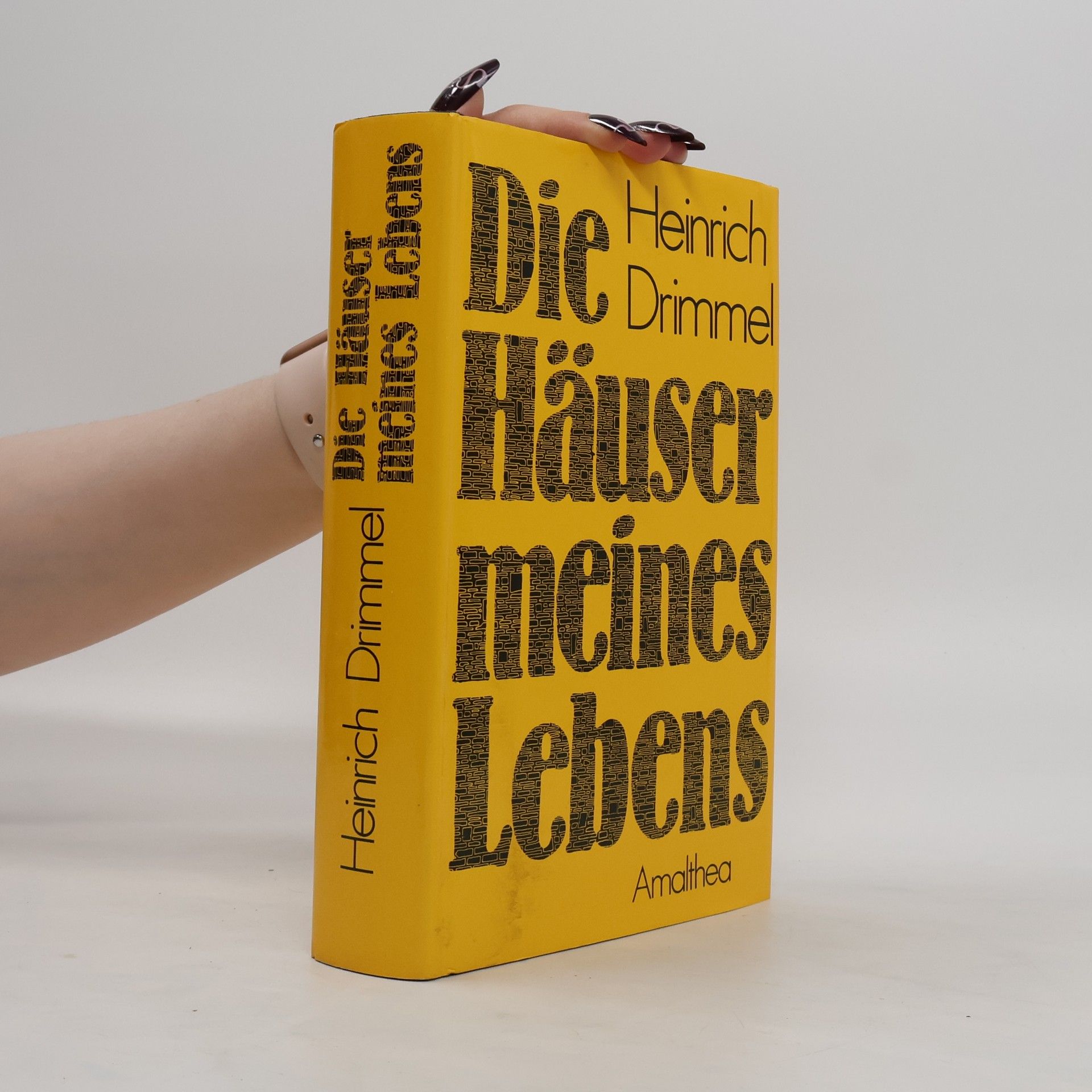 Heinrich Drimmel Die Häuser meines Lebens