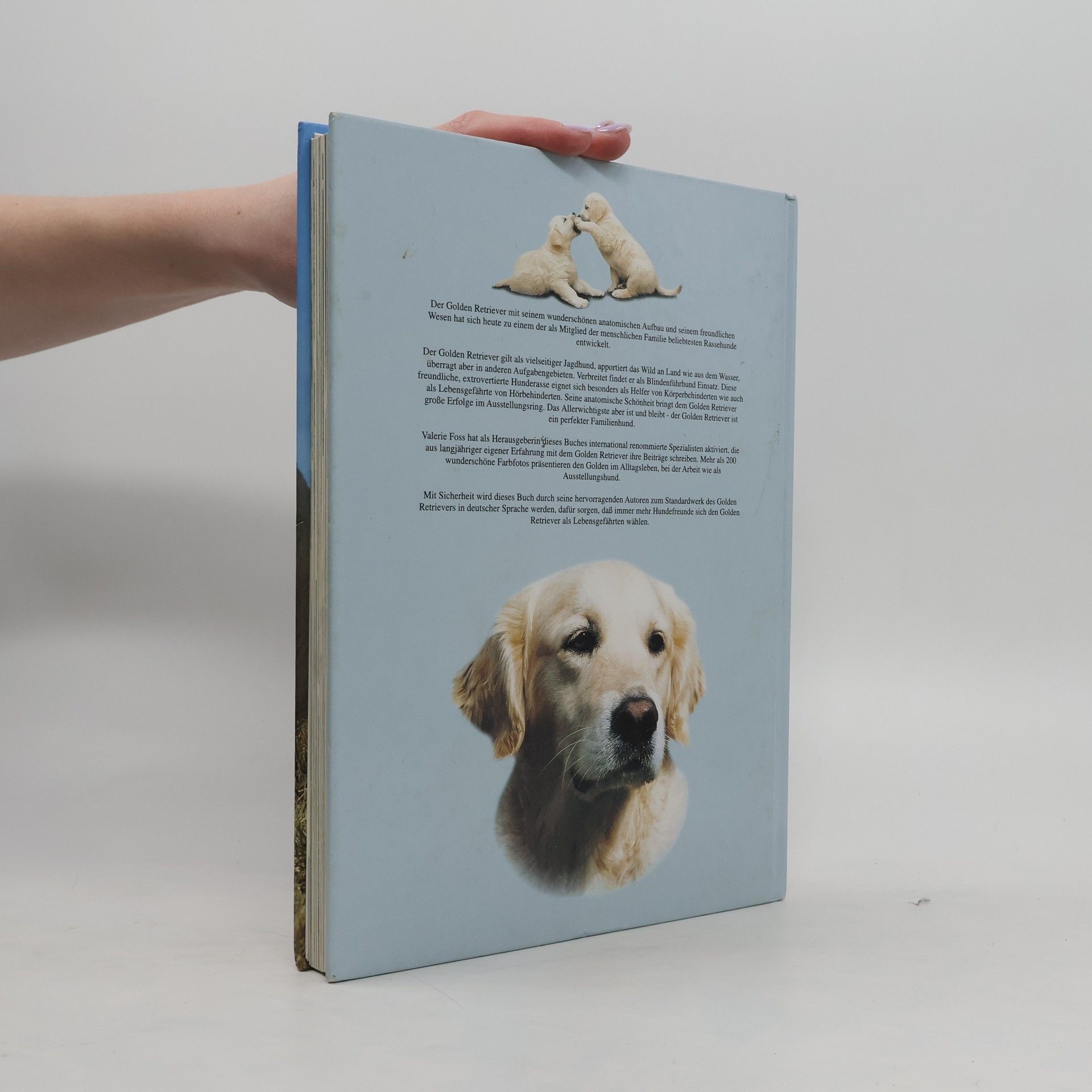 Valerie Foss Das große Golden-Retriever-Buch