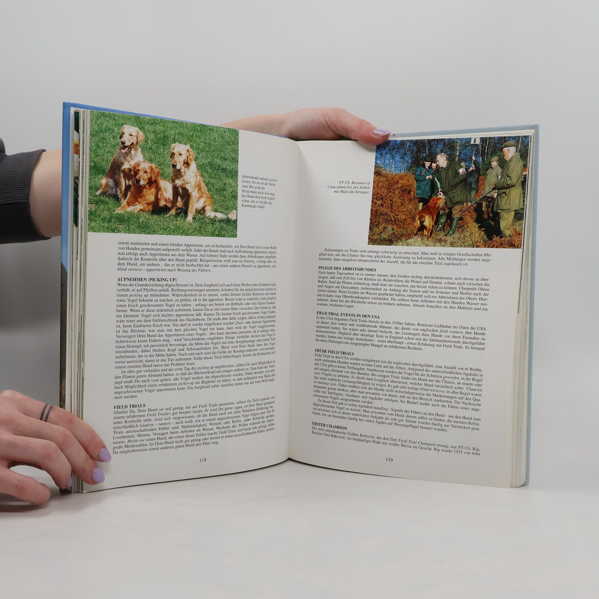 Valerie Foss Das große Golden-Retriever-Buch