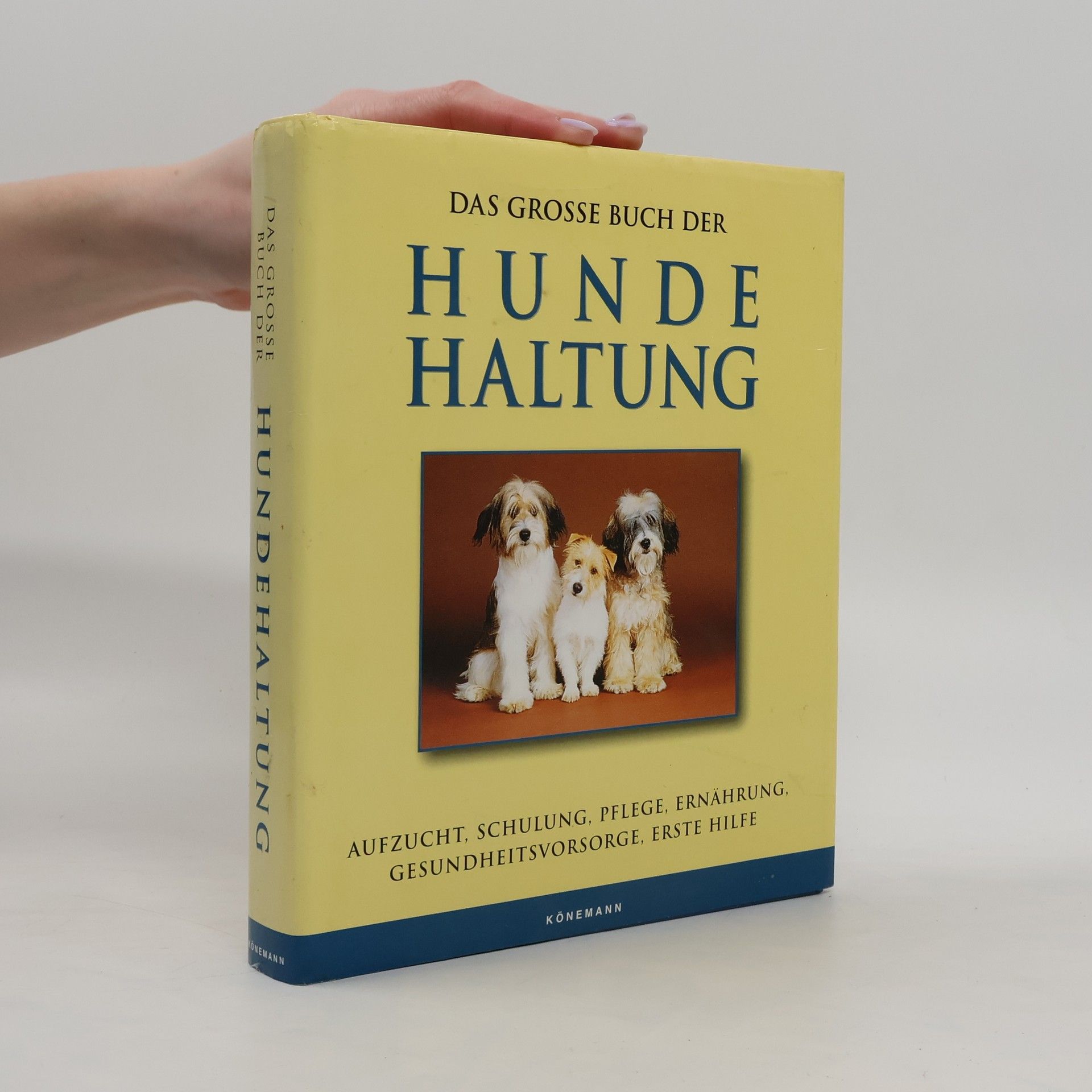 Matthew Hoffman Das grosse Buch der Hunde-Haltung