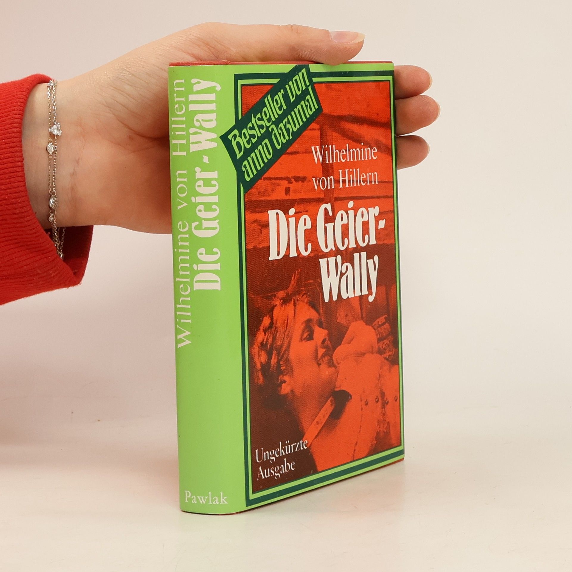 Wilhelmine von Hillern Die Geierwally