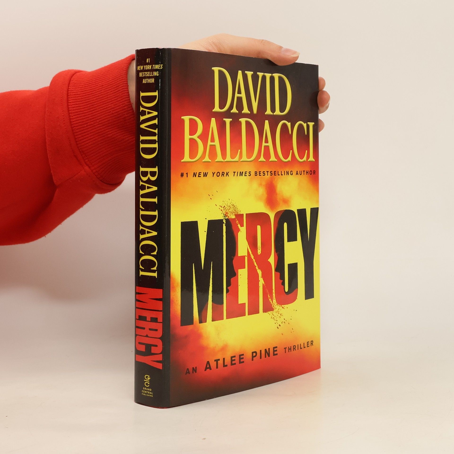 David Baldacci Mercy