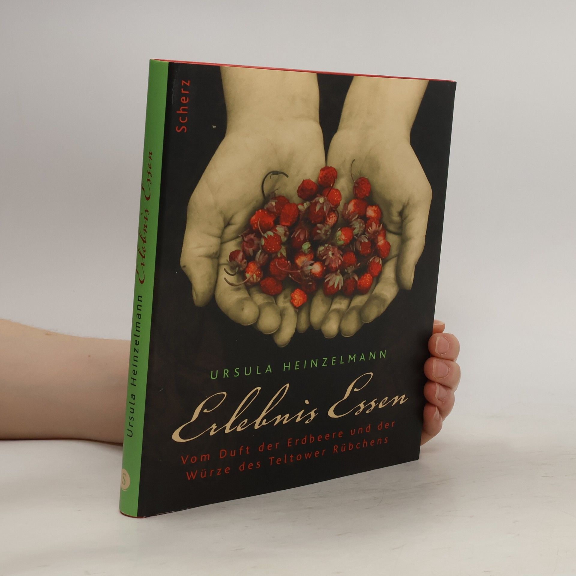 Ursula Heinzelmann Erlebnis Essen