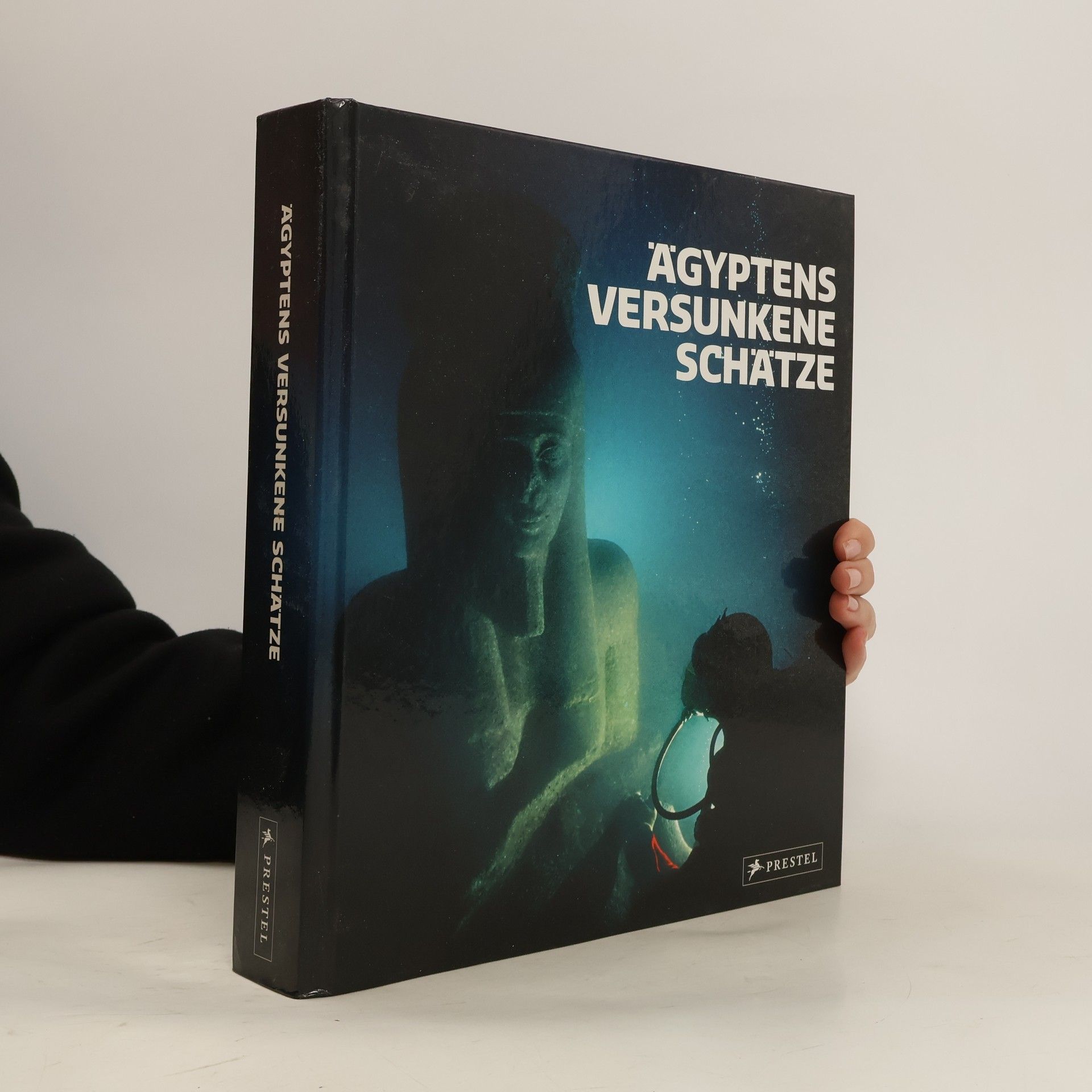 Franck Goddio Ägyptens versunkene Schätze