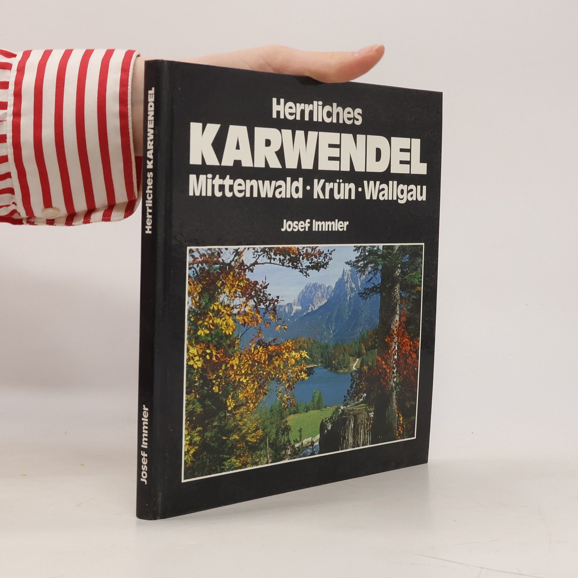 Josef Immler Herrliches Karwendel