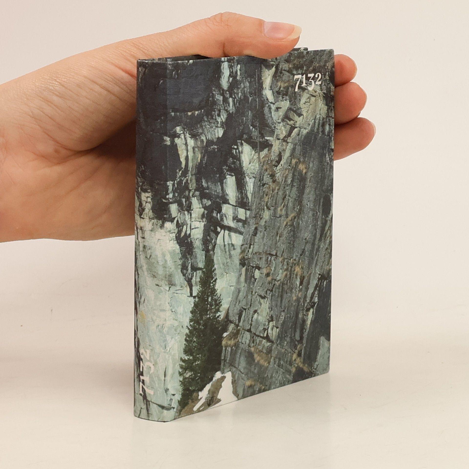 Gianni Pisano 7132 - Vals, der Moment zählt