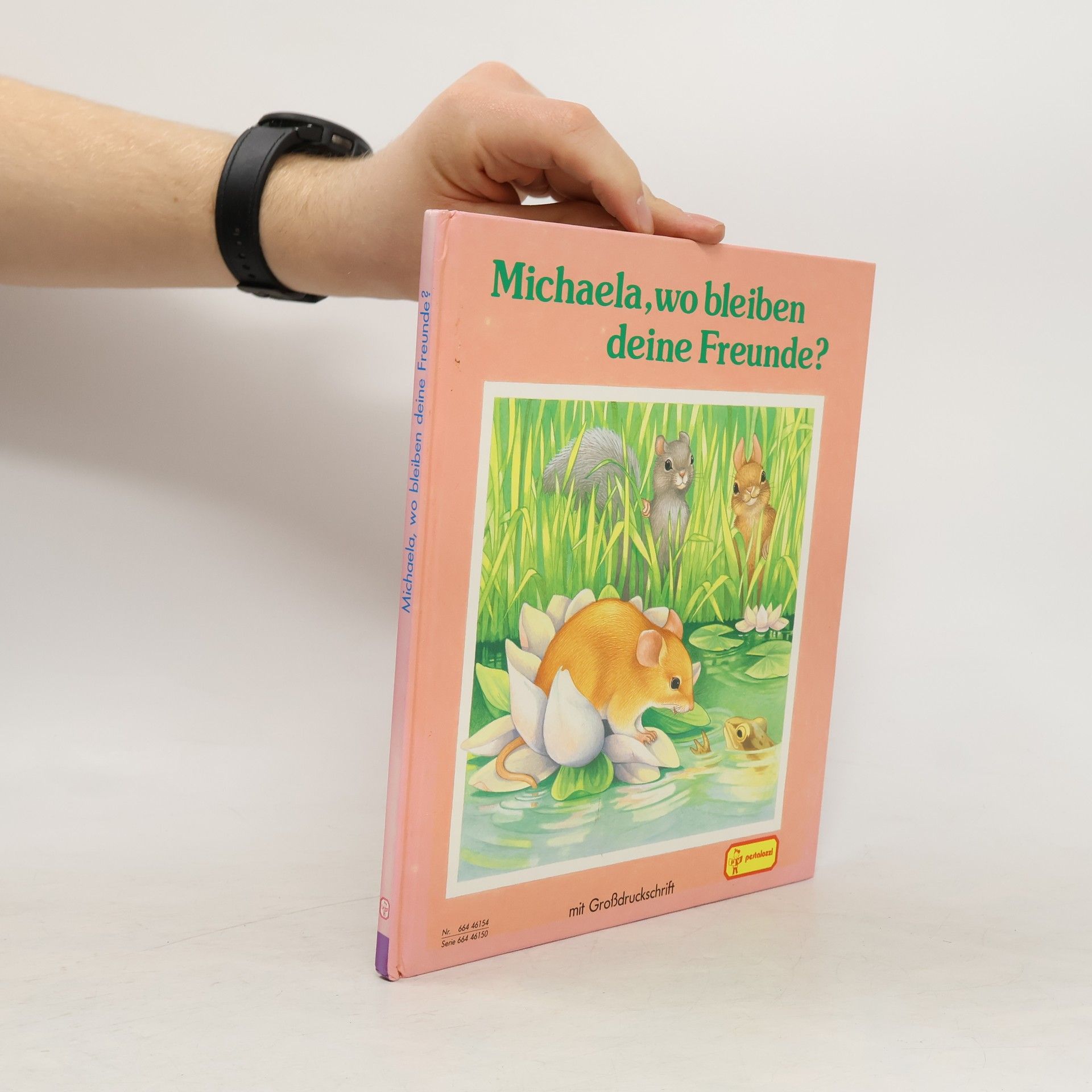 kolektiv Michaela, wo bleiben deine Freunde?