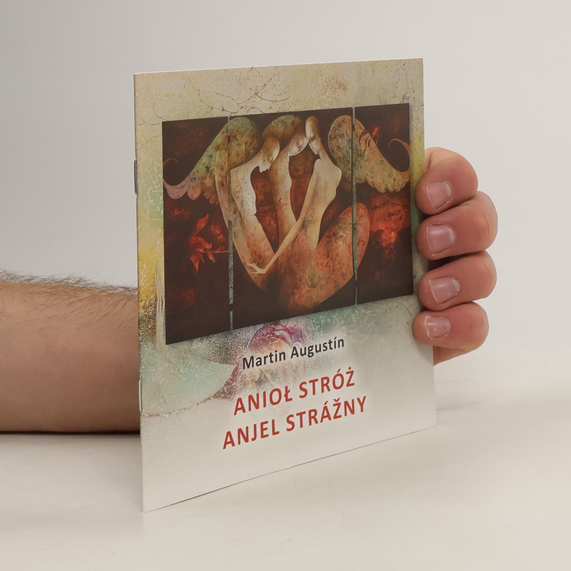 Martin Augustin Aniol stróž. Anjel Strážny