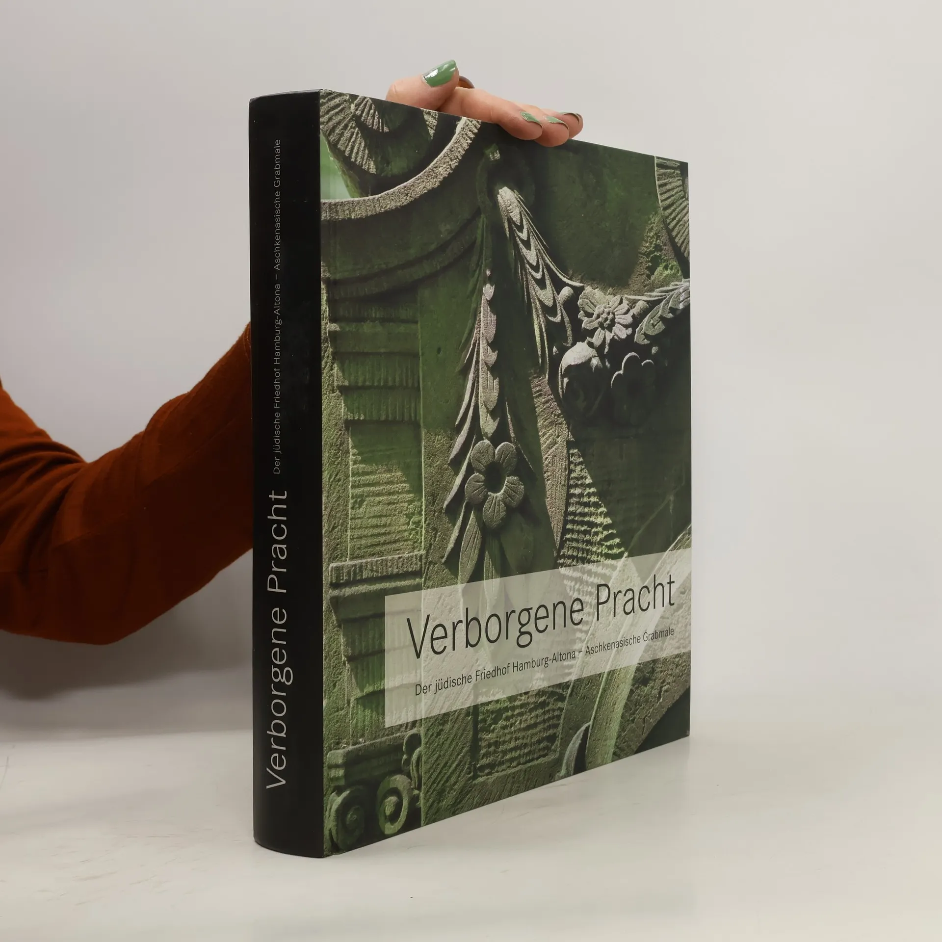 Verborgene Pracht | Buch | Michael Brocke