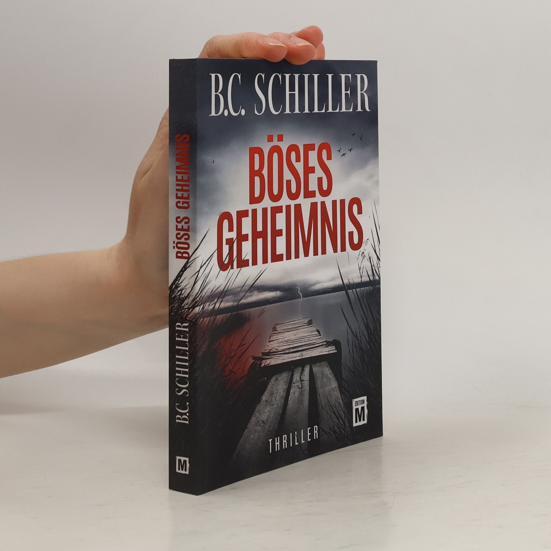 B. C. Schiller Böses Geheimnis