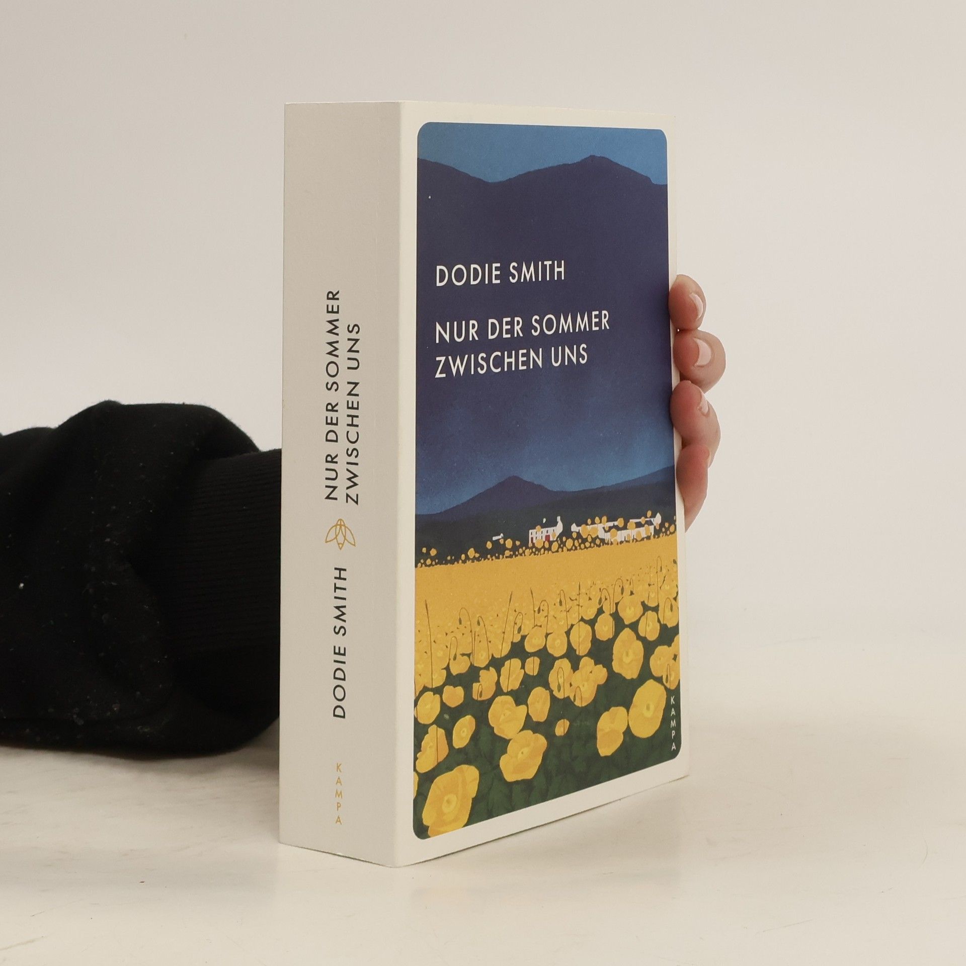 Dodie Smith Nur der Sommer zwischen uns