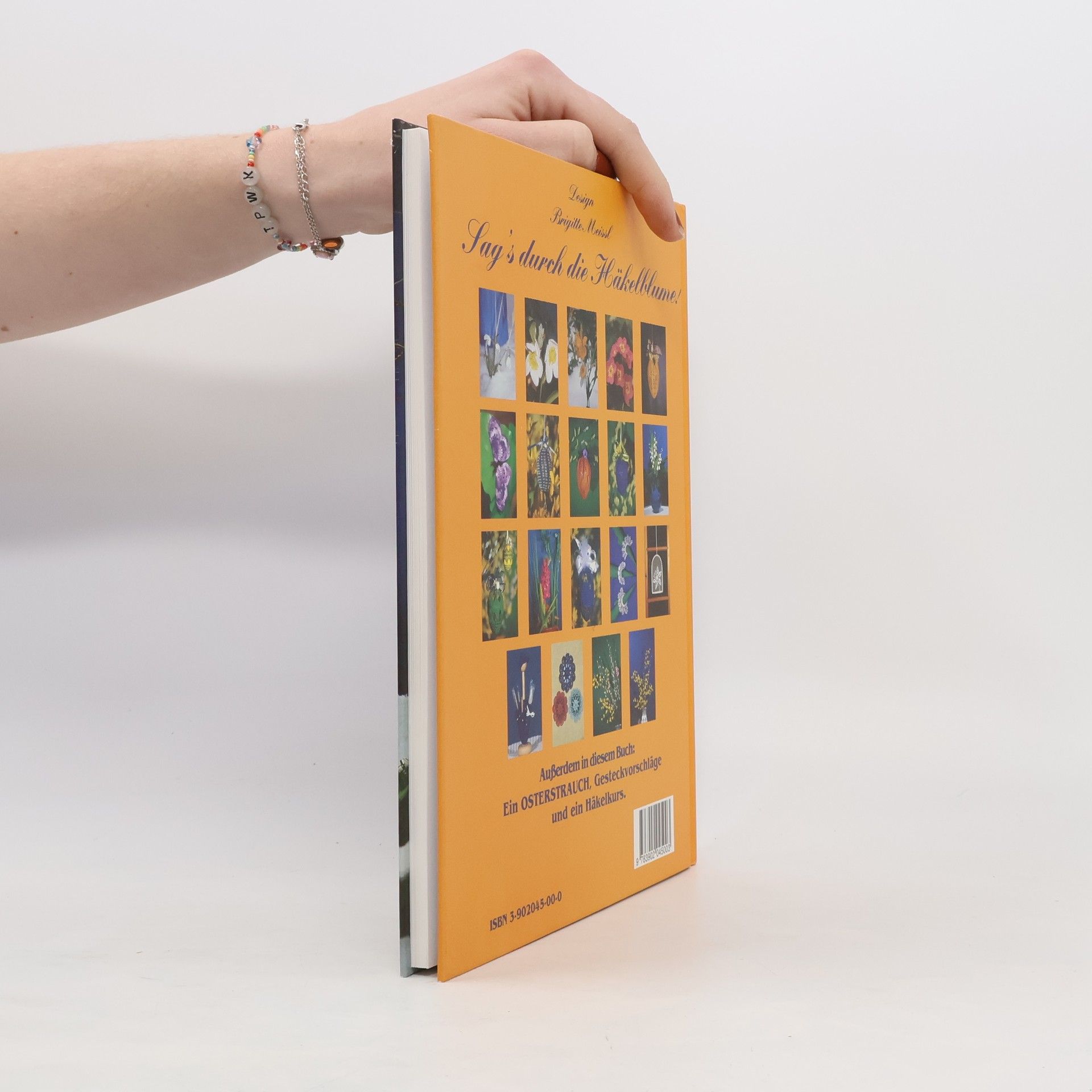 Brigitte Meissl Sags durch die Häckelblume! Buch 1 Frühling