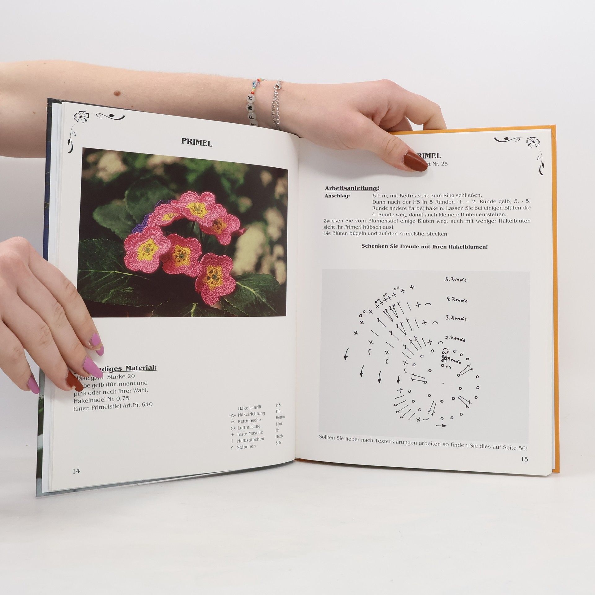Brigitte Meissl Sags durch die Häckelblume! Buch 1 Frühling