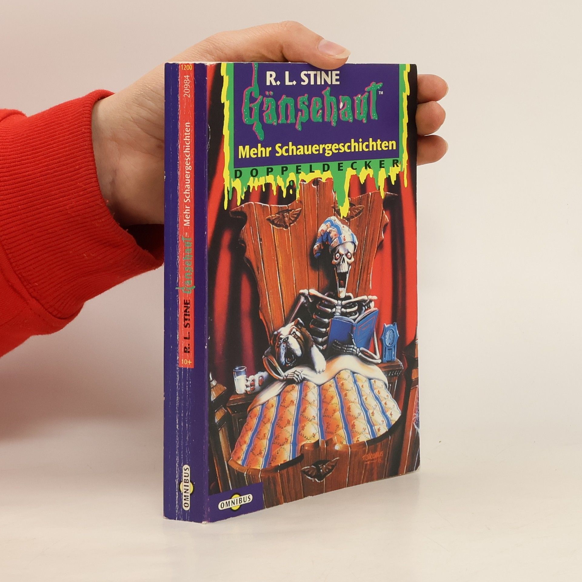 R. L. Stine Mehr Schauergeschichten Doppeldecker 2. Gänsehaut