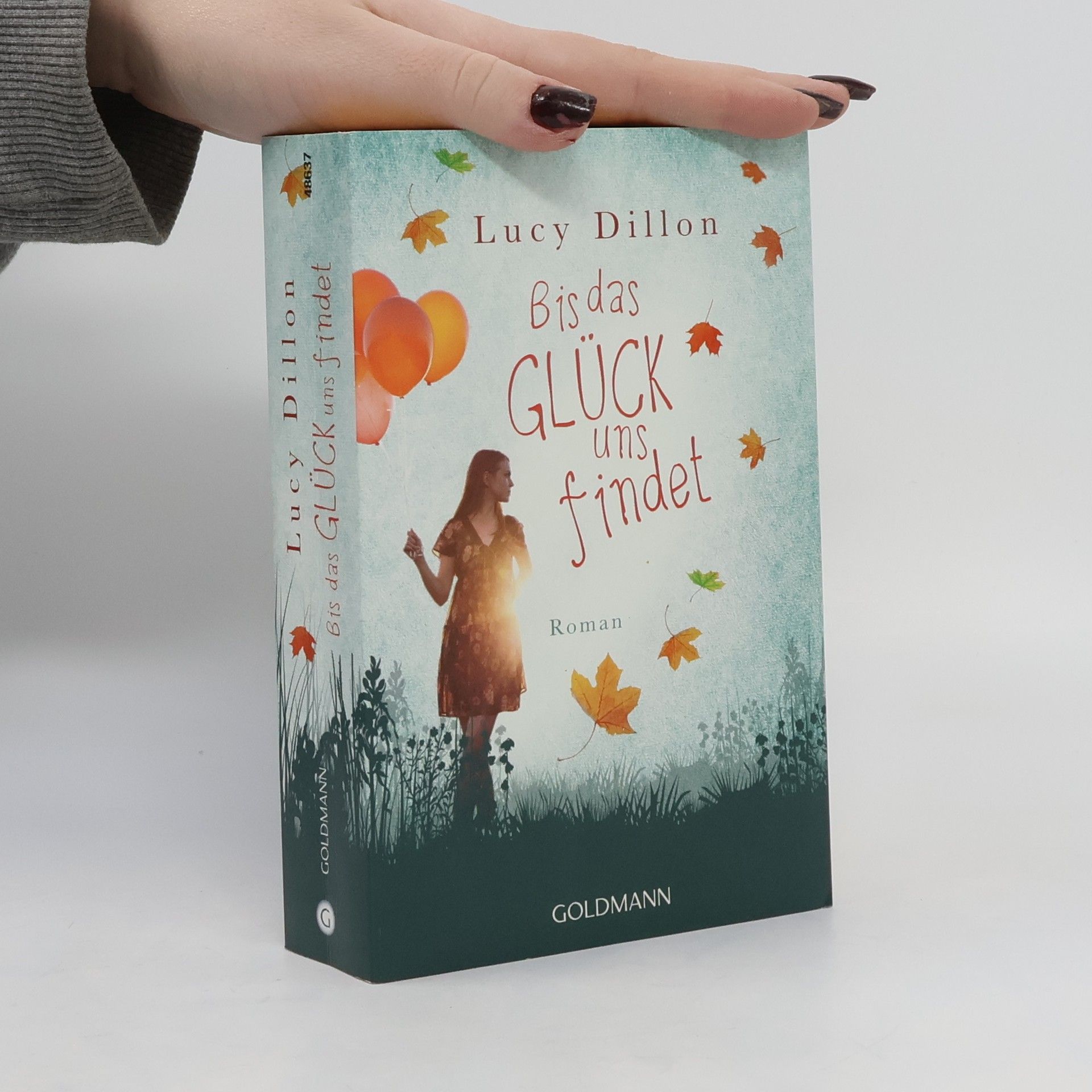 Lucy Dillon Bis das Glück uns findet