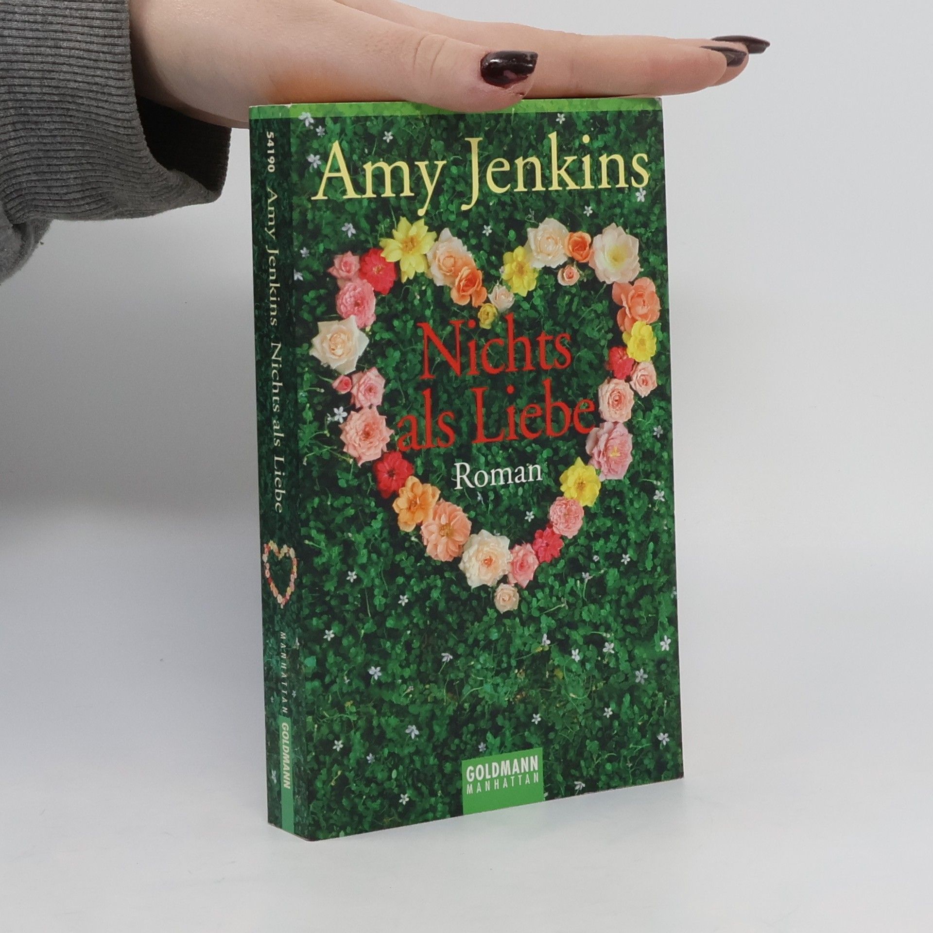 Amy Jenkins Nichts als Liebe