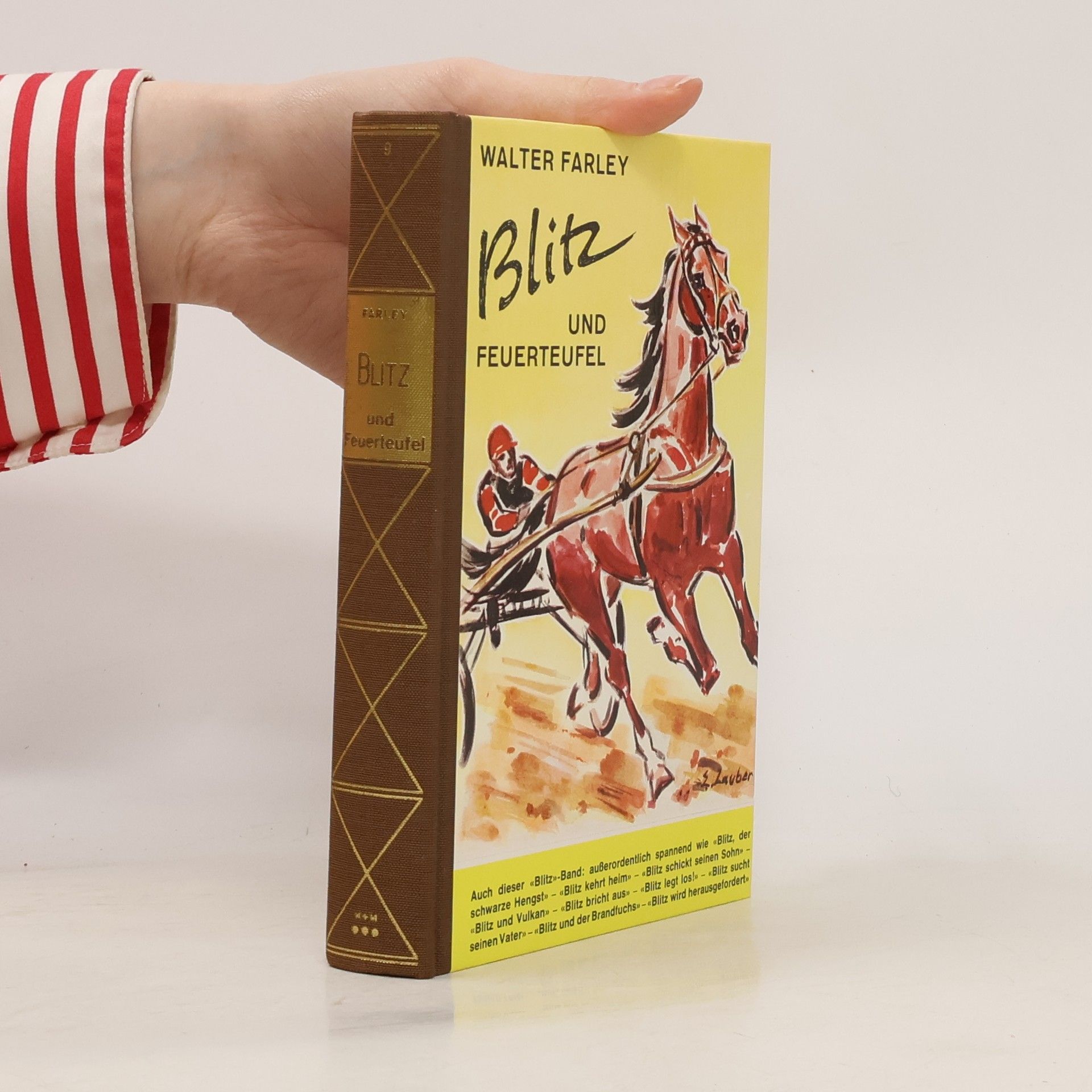 Walter Farley Blitz und der Feuerteufel