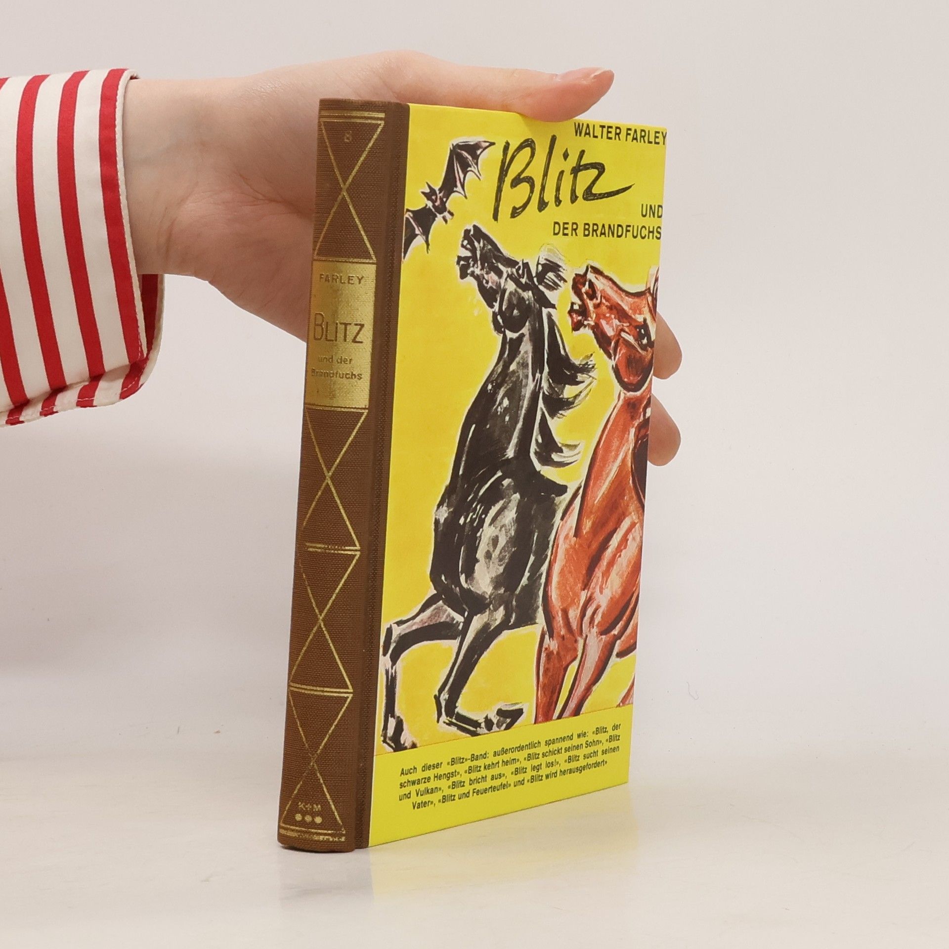 Walter Farley Blitz und der Brandfuchs