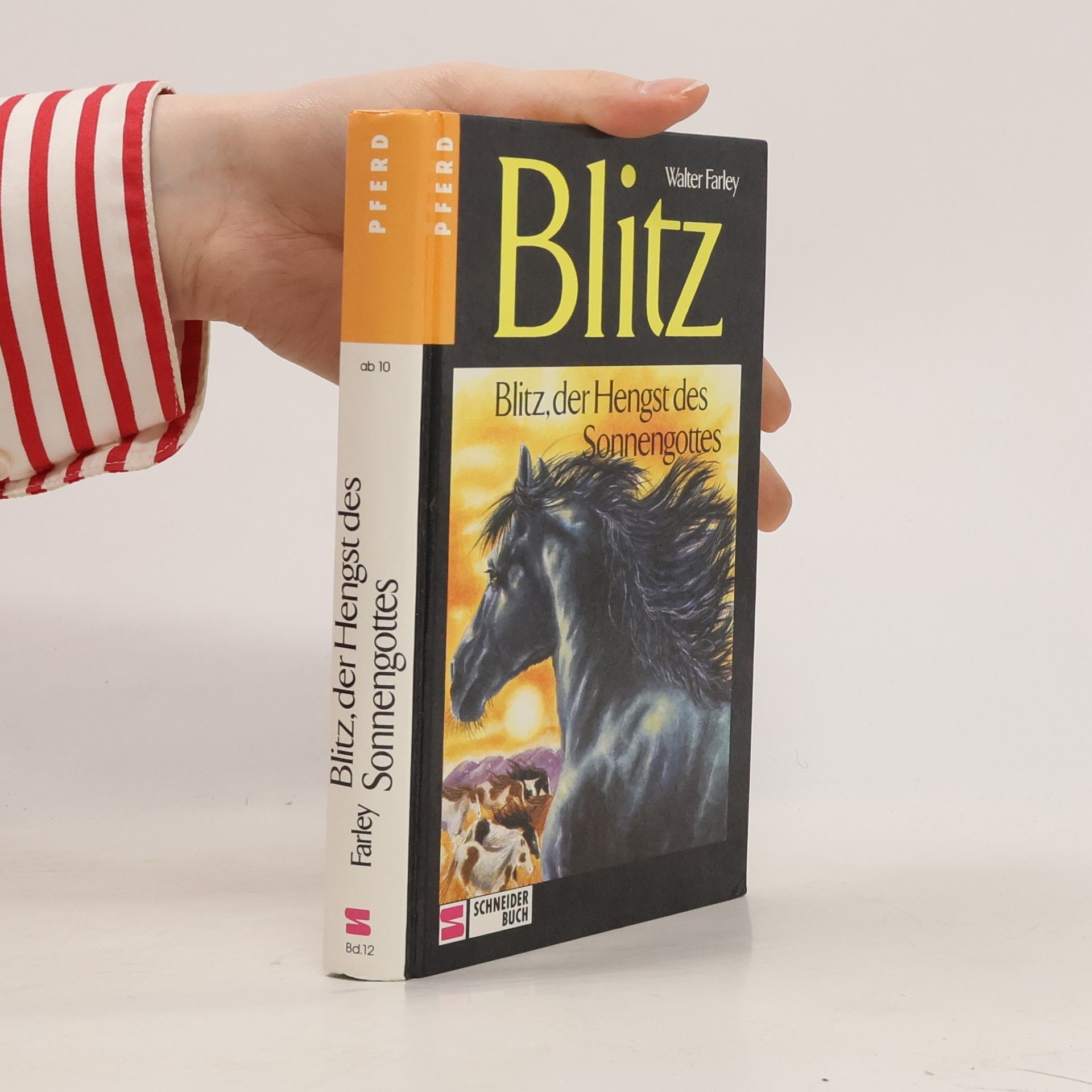 Walter Farley Blitz, der Hengst des Sonnengottes