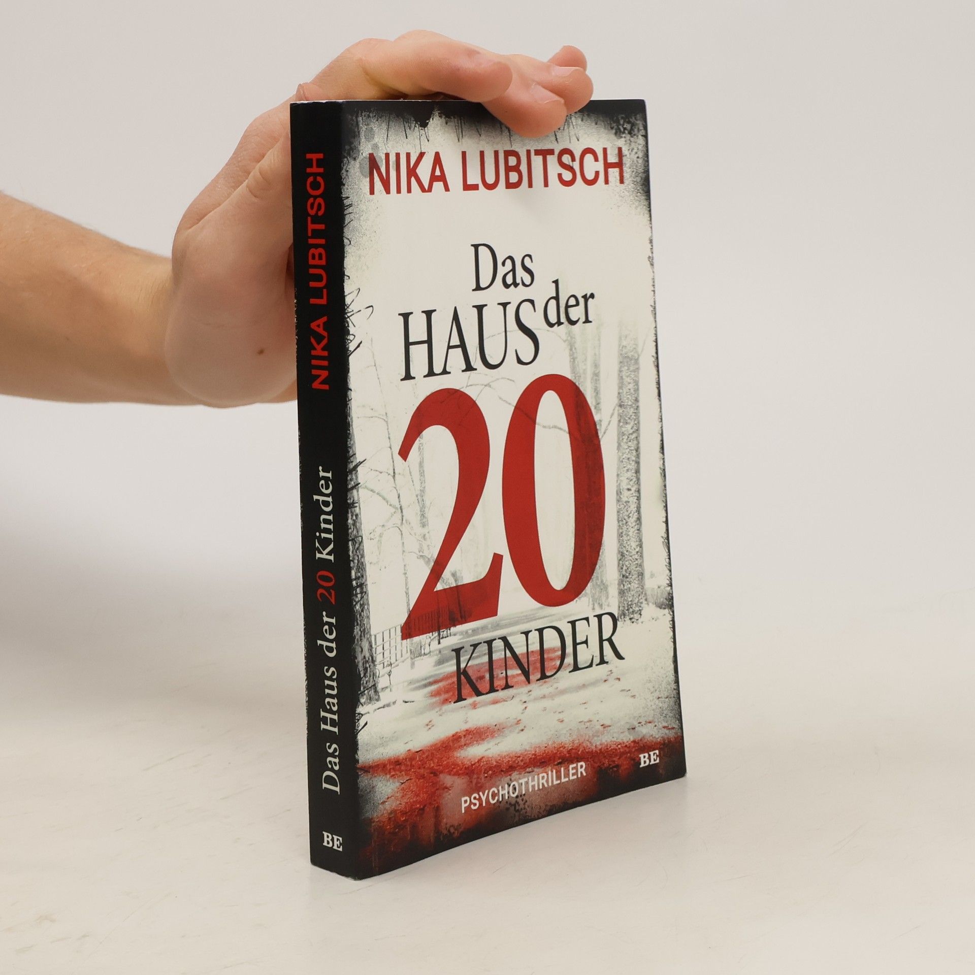 Nika Lubitsch Das Haus der 20 Kinder