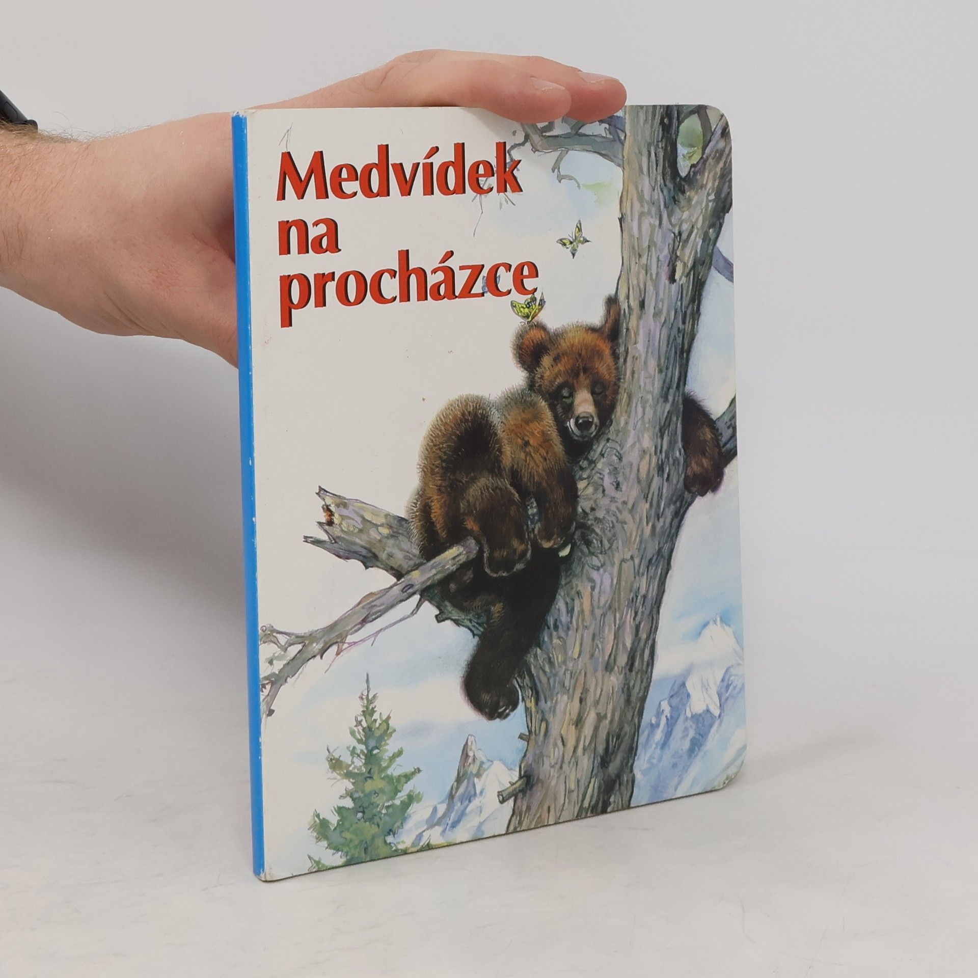 Autorenkollektiv Medvídek na procházce