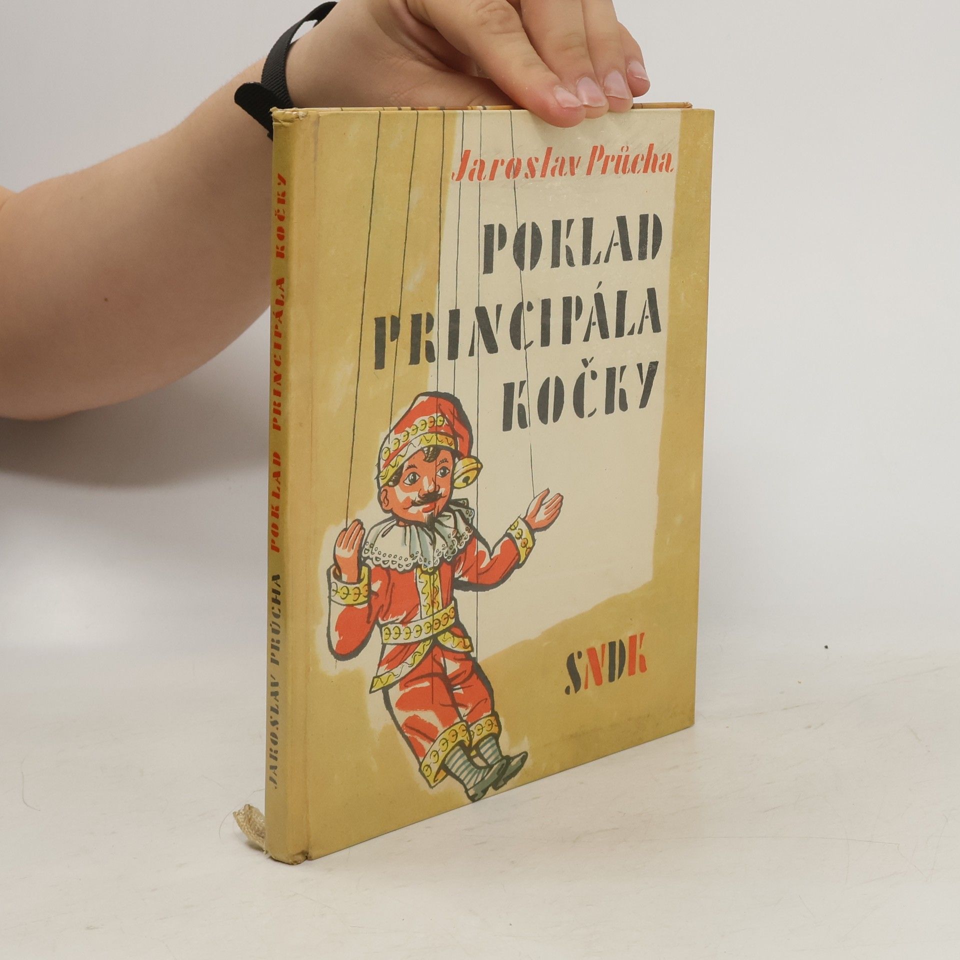 Jarmila Průchová Poklad principála Kočky