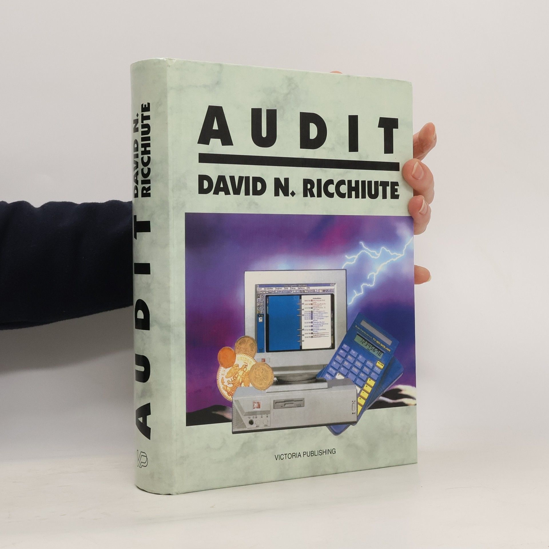 David N. Ricchiute Audit