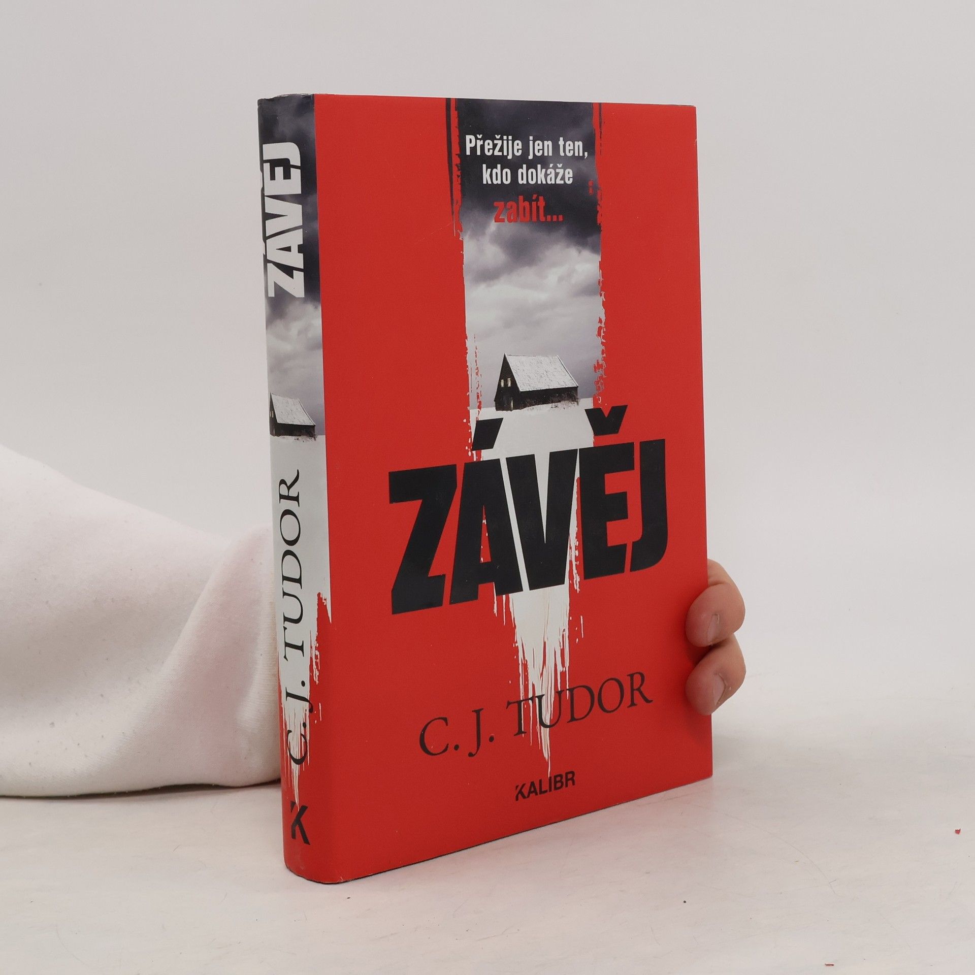 Jana Kunová Závěj