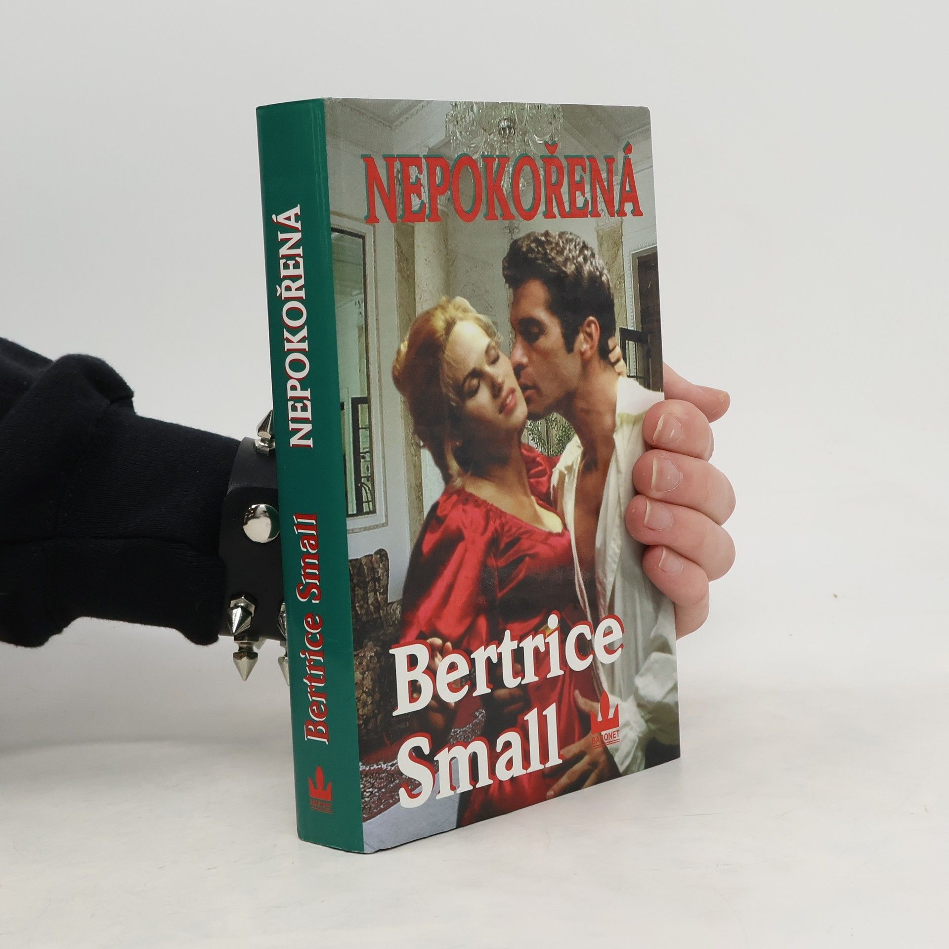 Bertrice Small Nepokořená