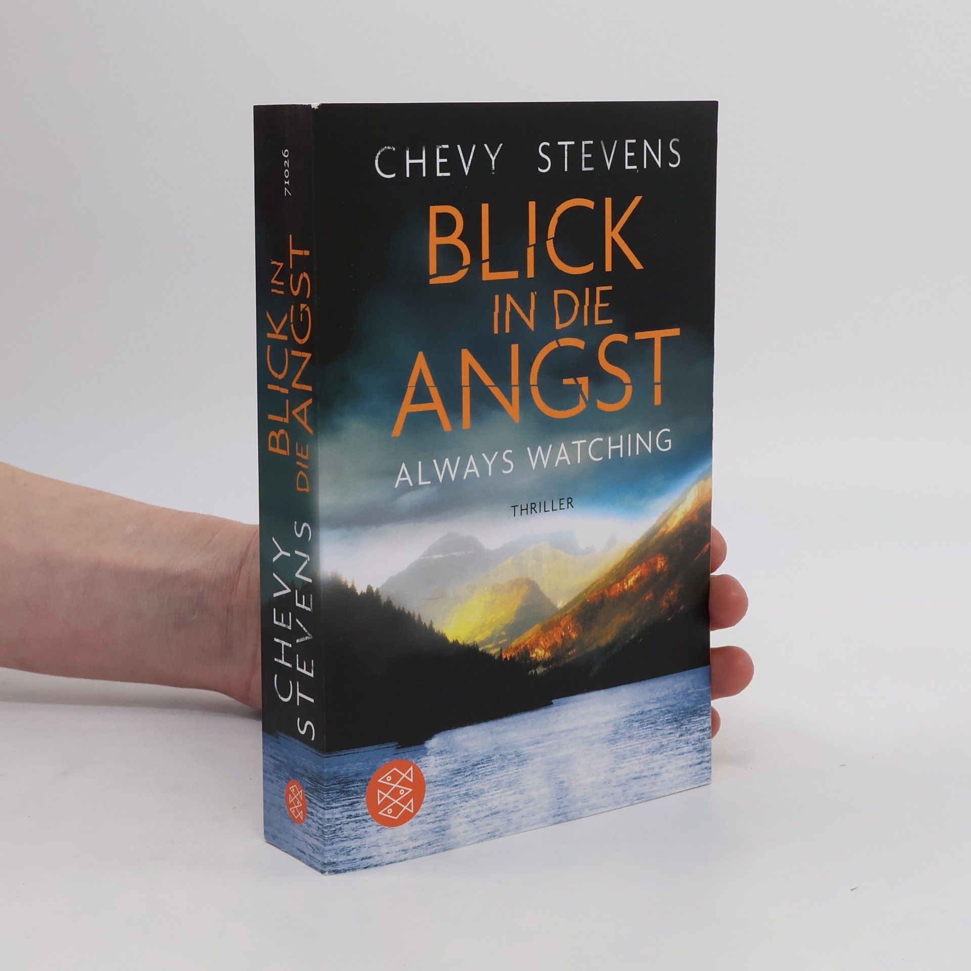 Chevy Stevens Blick in die Angst