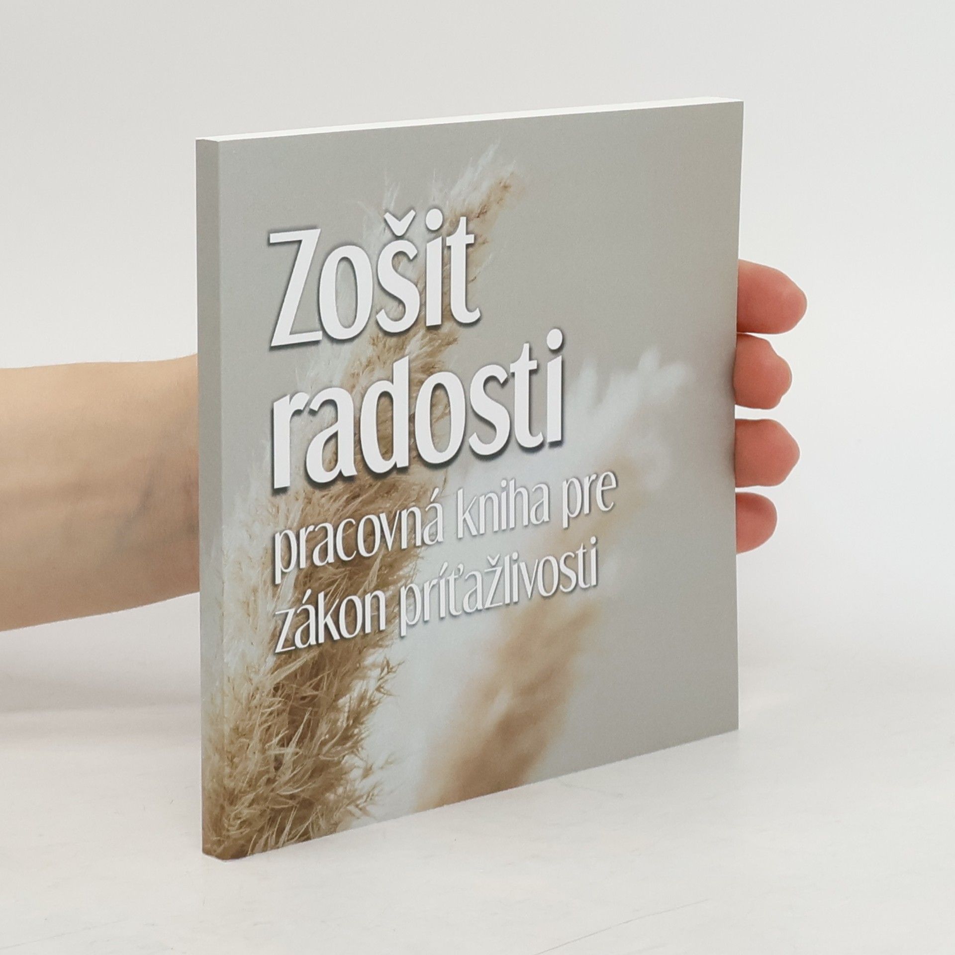 Kolektív autorov Zošit Radosti