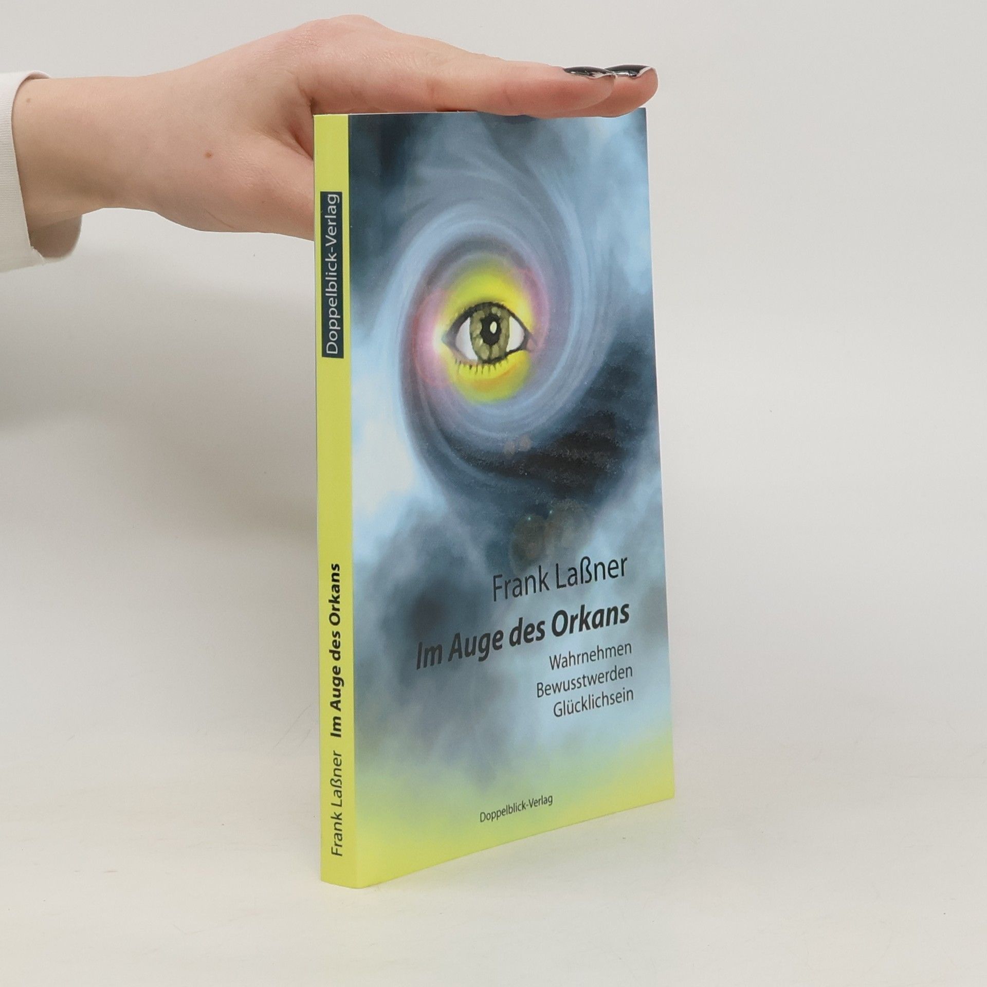 Frank Lassner Im Auge des Orkans 1