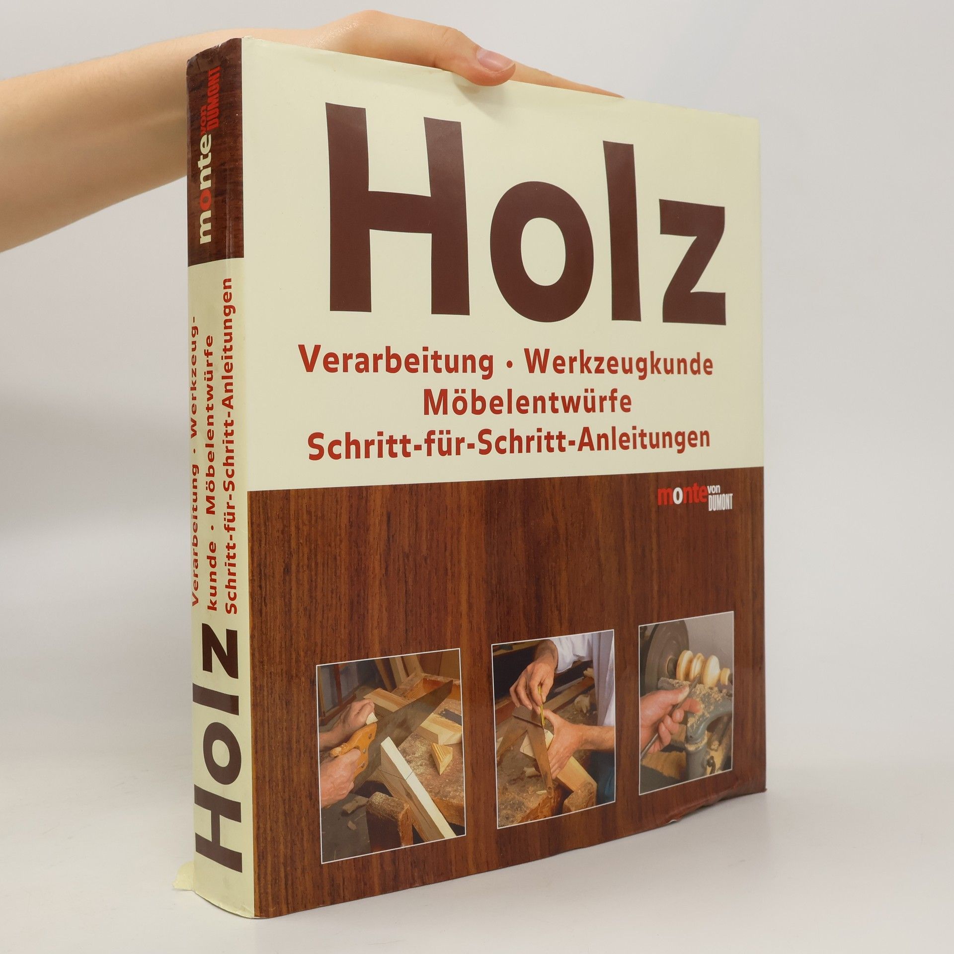 Hans-Joachim Maschek-Schneider Holz