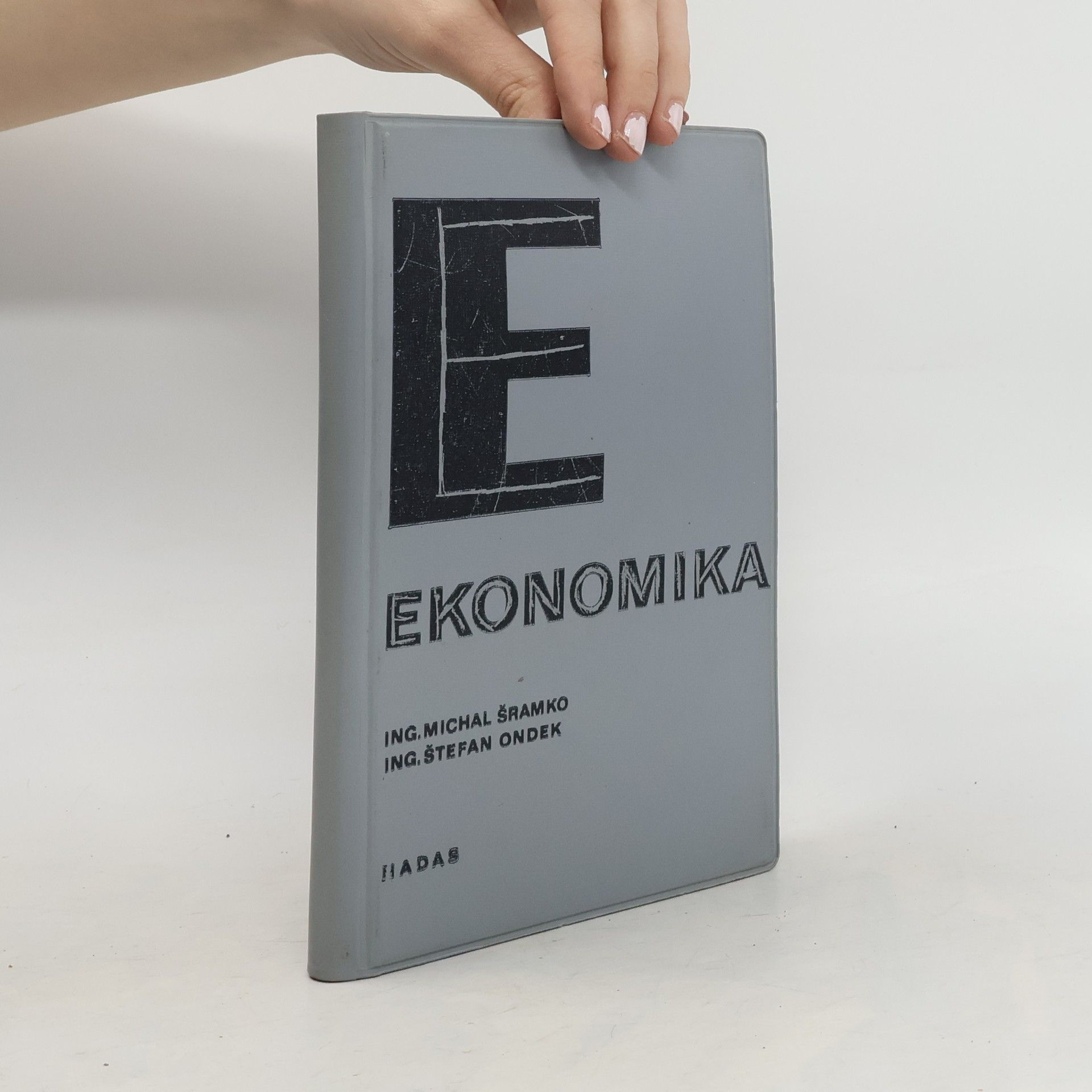 Michal Šramko Ekonomika