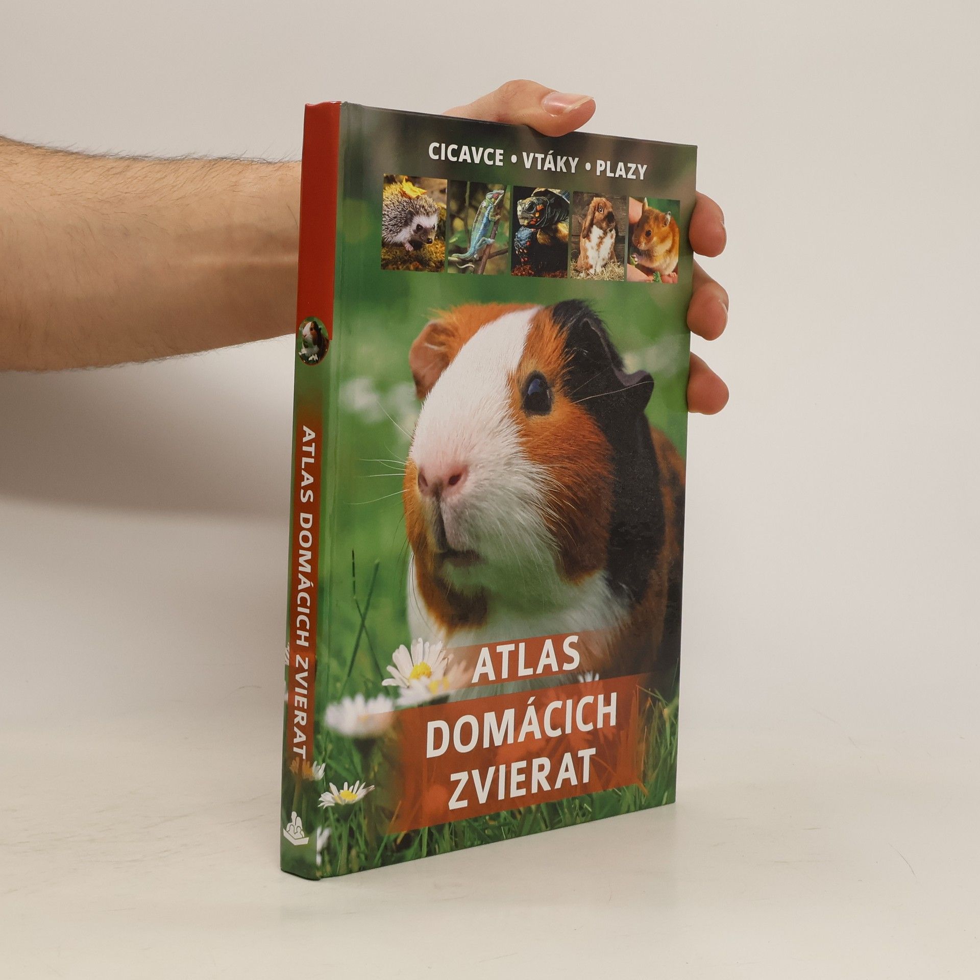 Justyna Pokorska Atlas domácich zvierat