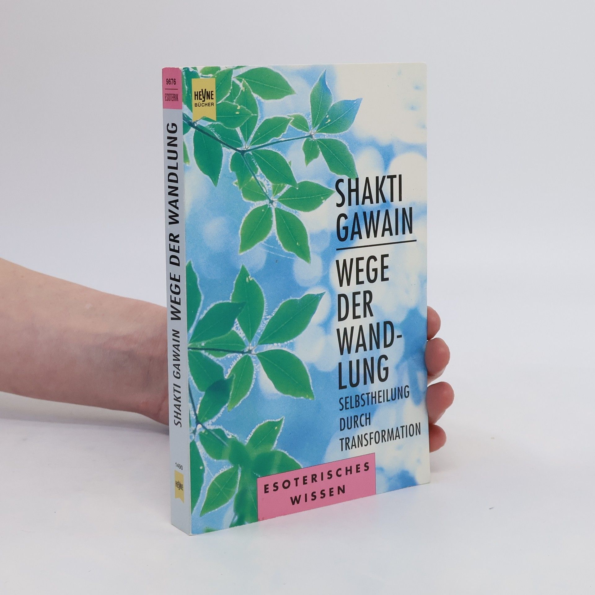 Shakti Gawain Wege der Wandlung