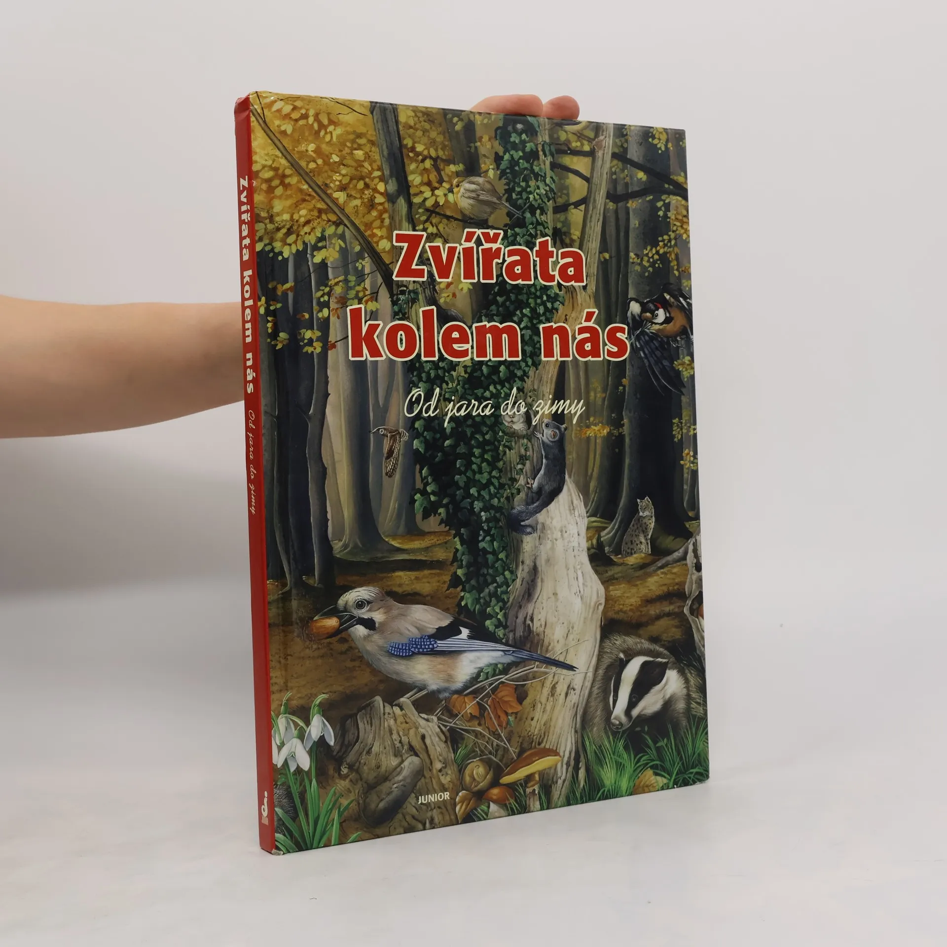 Zvířata kolem nás: Od jara do zimy | Kniha | pevná | Renzo Barsotti | CS