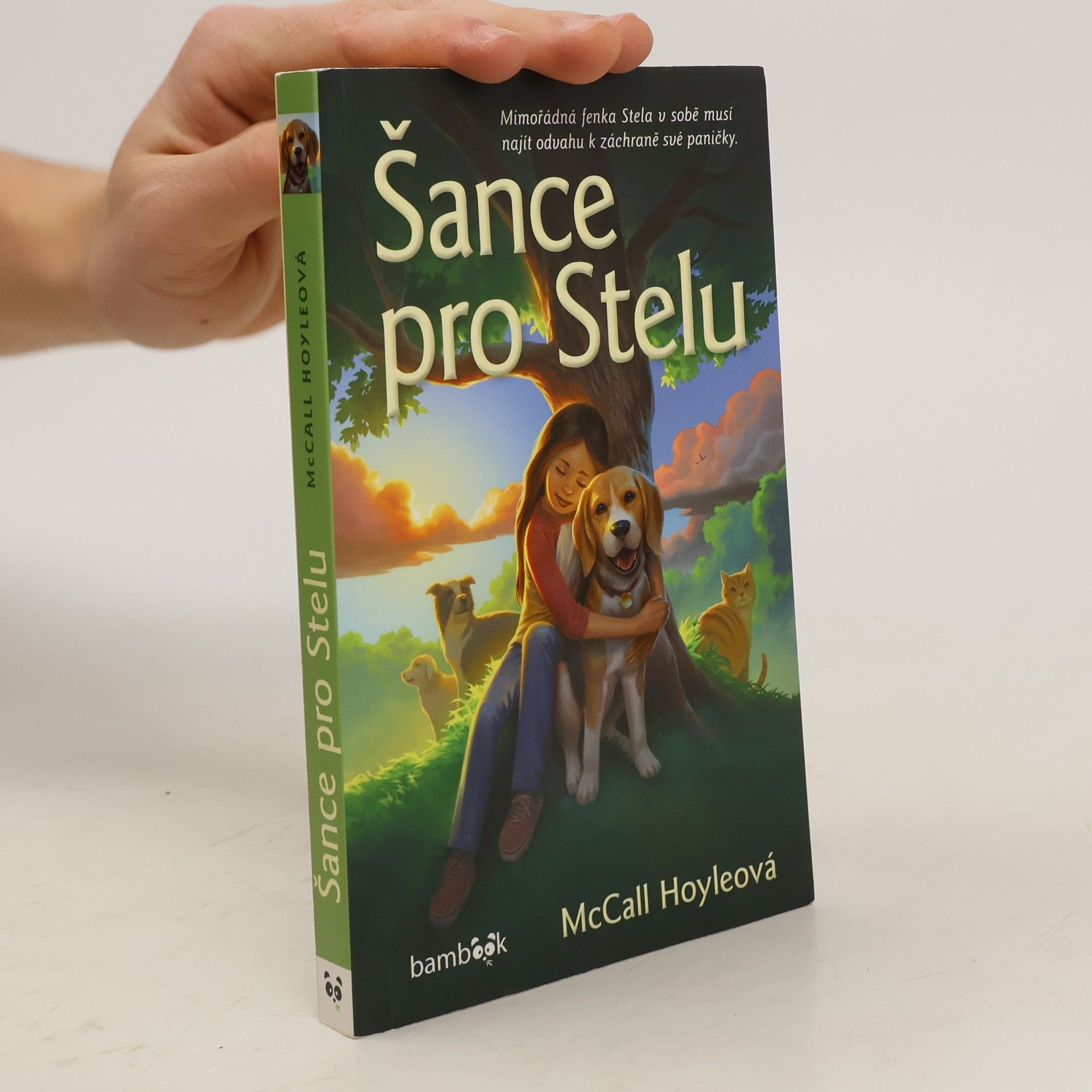 McCall Hoyle Šance pro Stelu