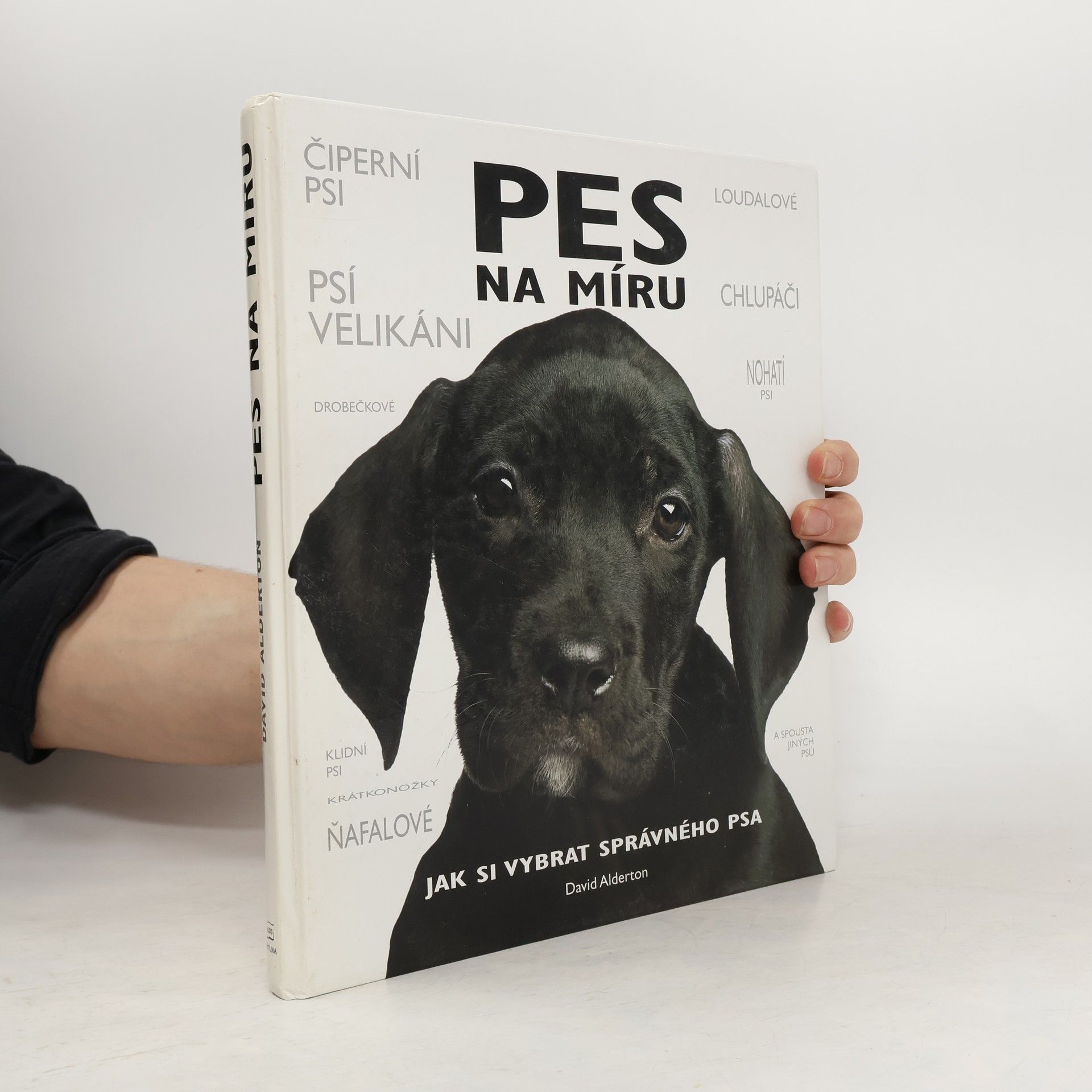 David Alderton Pes na míru. Jak si vybrat správného psa.