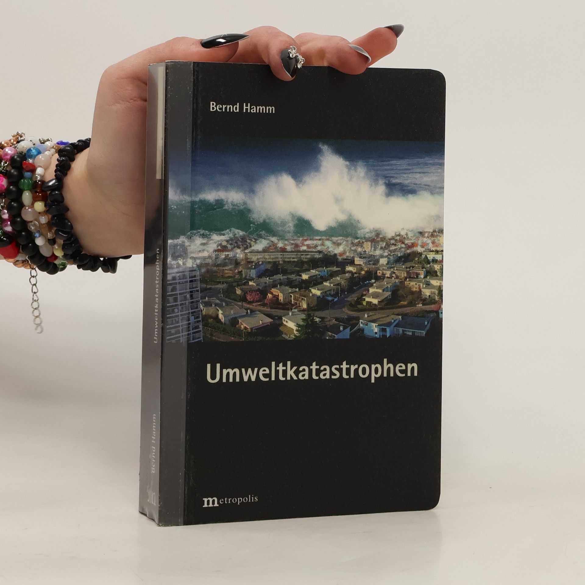 Bernd Hamm Umweltkatastrophen