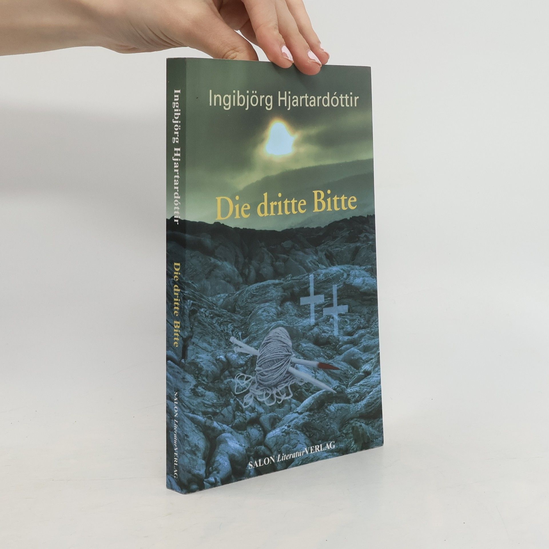 Ingibjörg Hjartardottir Die Dritte Bitte. Roman