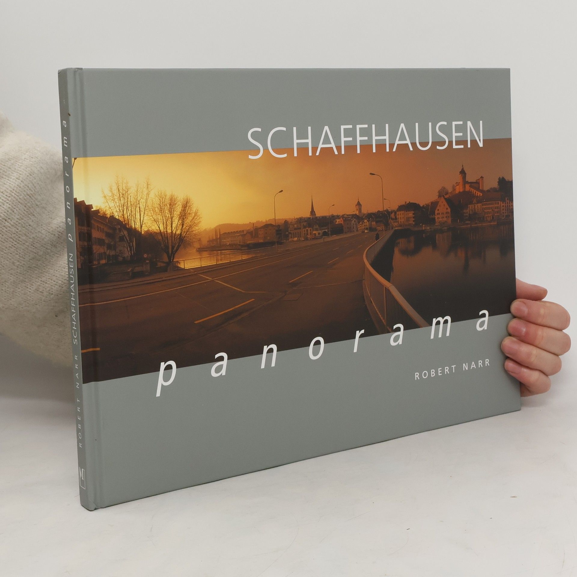 Robert Narr Schaffhausen-Panorama