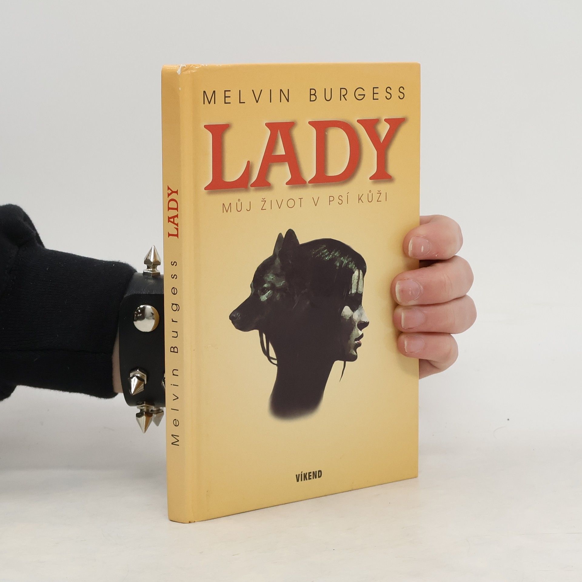 Melvin Burgess Lady. Můj život v psí kůži