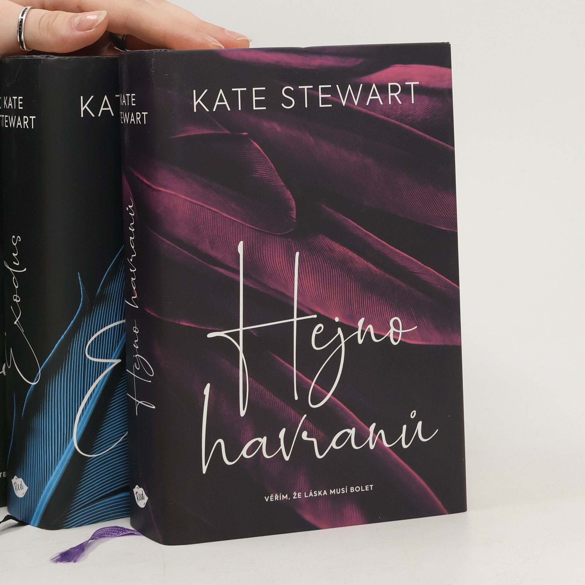 Kate Stewart Hejno havranů. Exodus. Vysněný cíl