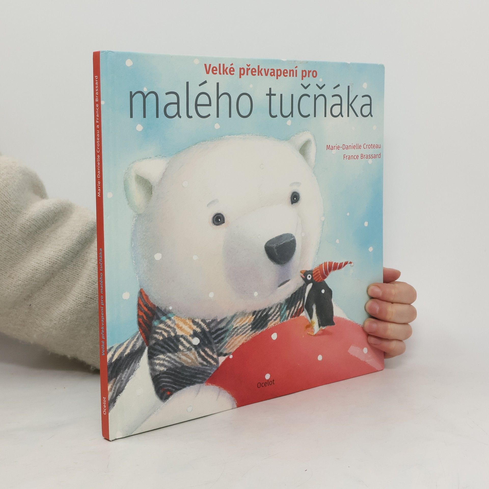 MarieDanielle Croteau Velké překvapení pro malého tučňáka