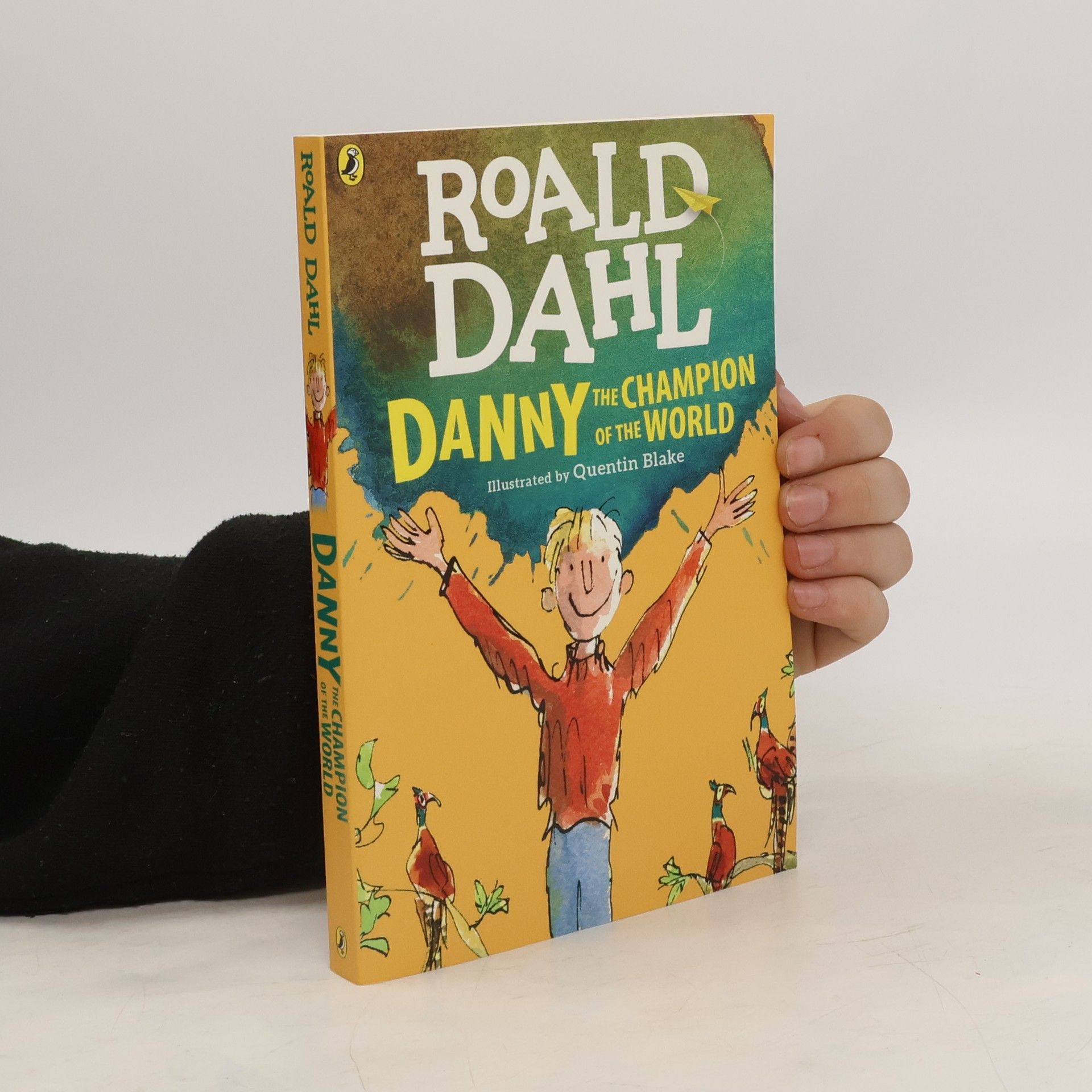 Roald Dahl Danny the Champion of the World