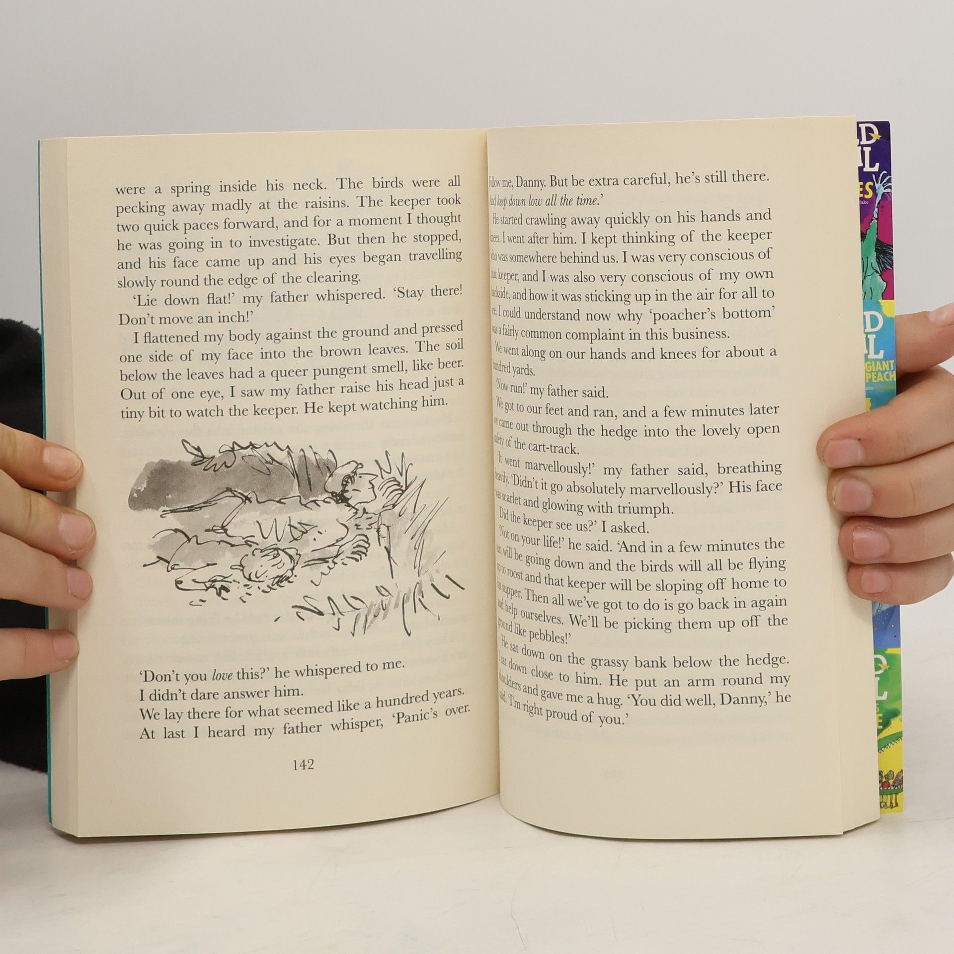 Roald Dahl Danny the Champion of the World